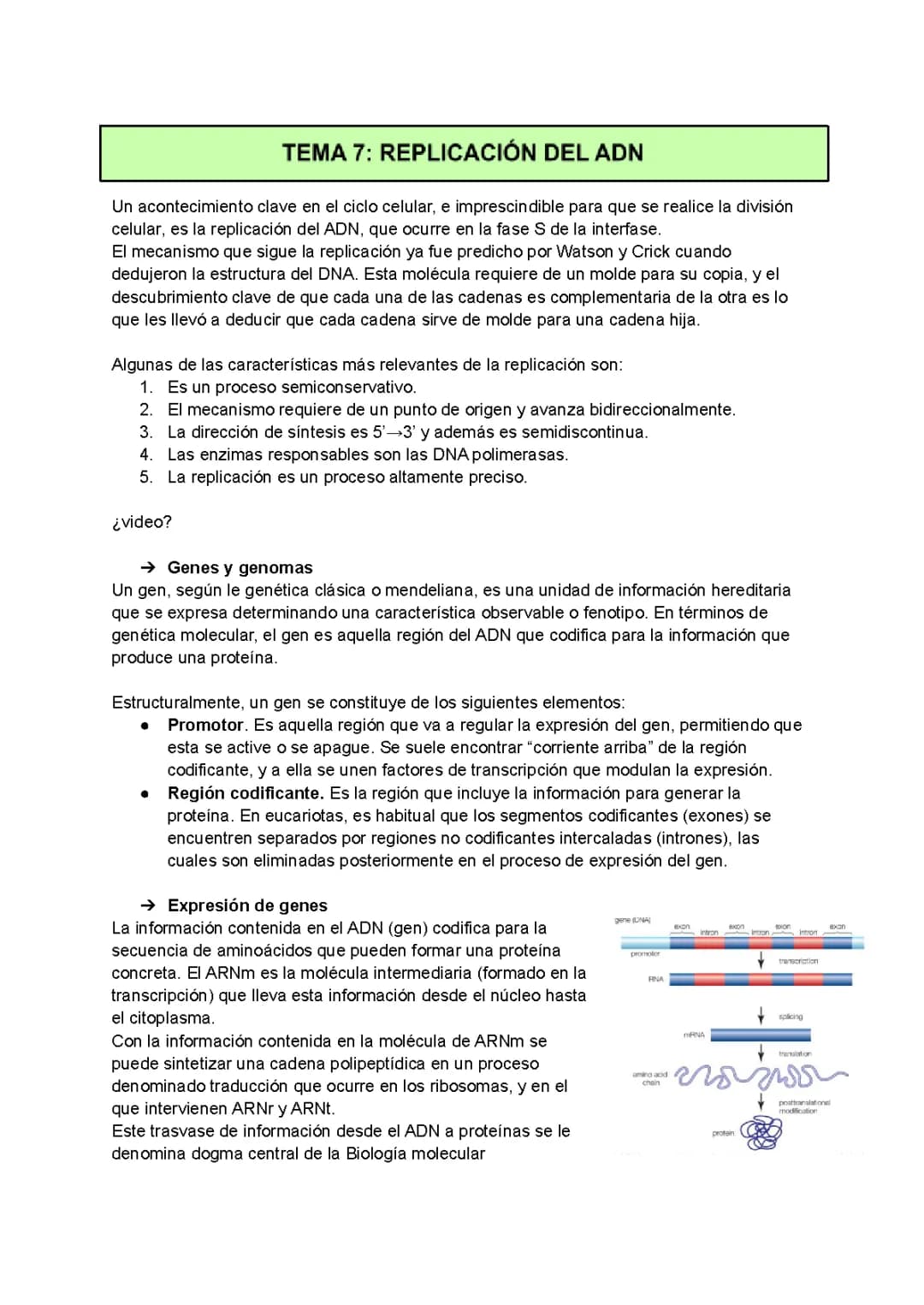 APUNTES DE REPLICACIÓN DEL ADN BIOLOGÍA