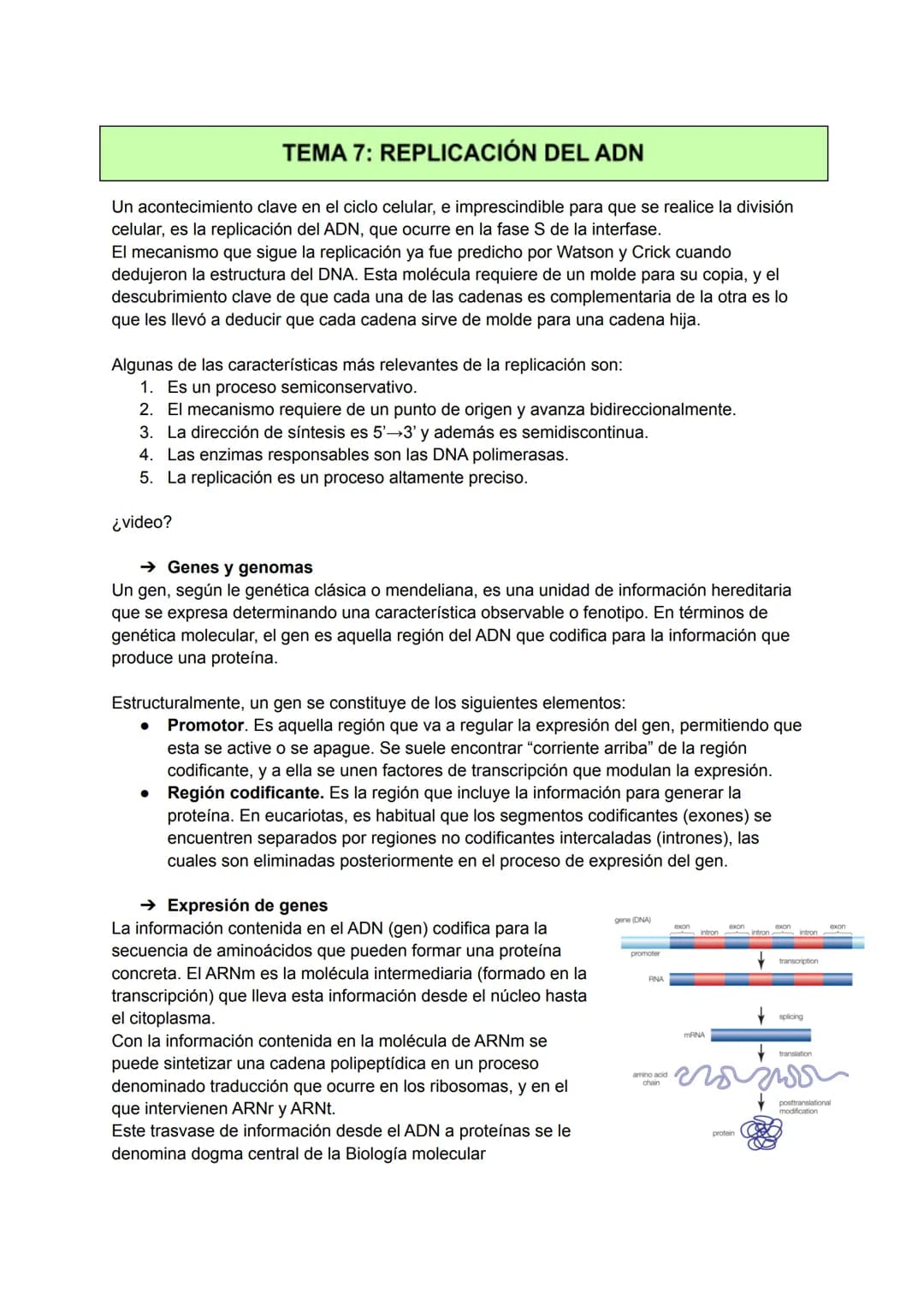 TEMA 7: REPLICACIÓN DEL ADN
Un acontecimiento clave en el ciclo celular, e imprescindible para que se realice la división
celular, es la rep