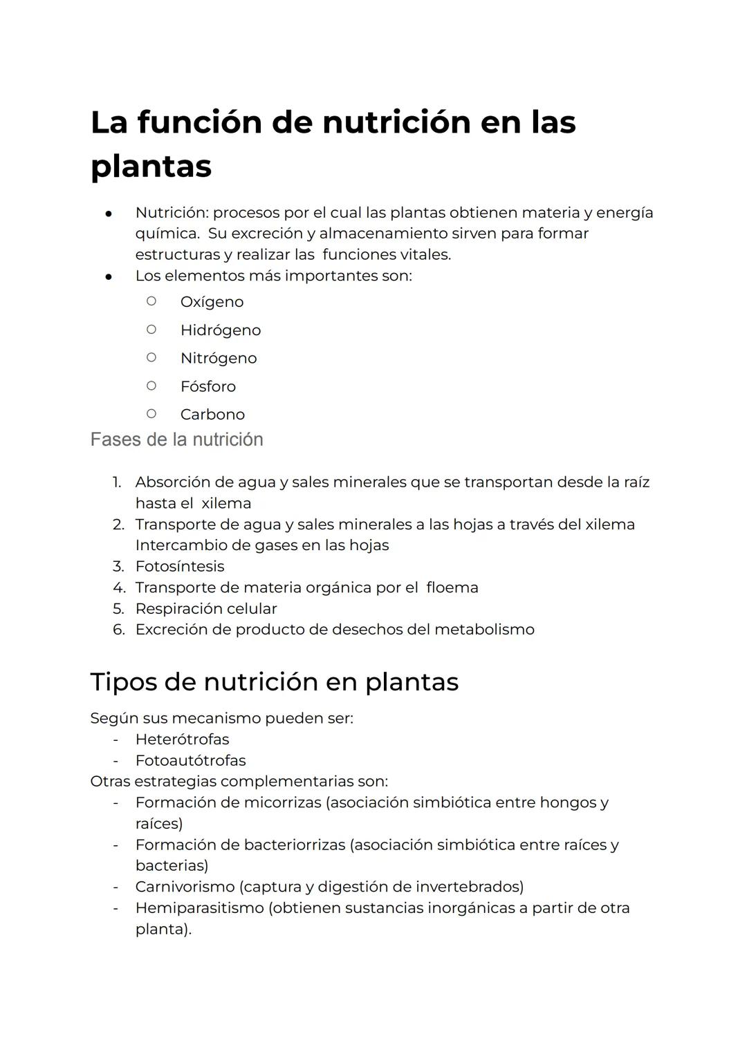 Importancia de la Nutrición en las Plantas
