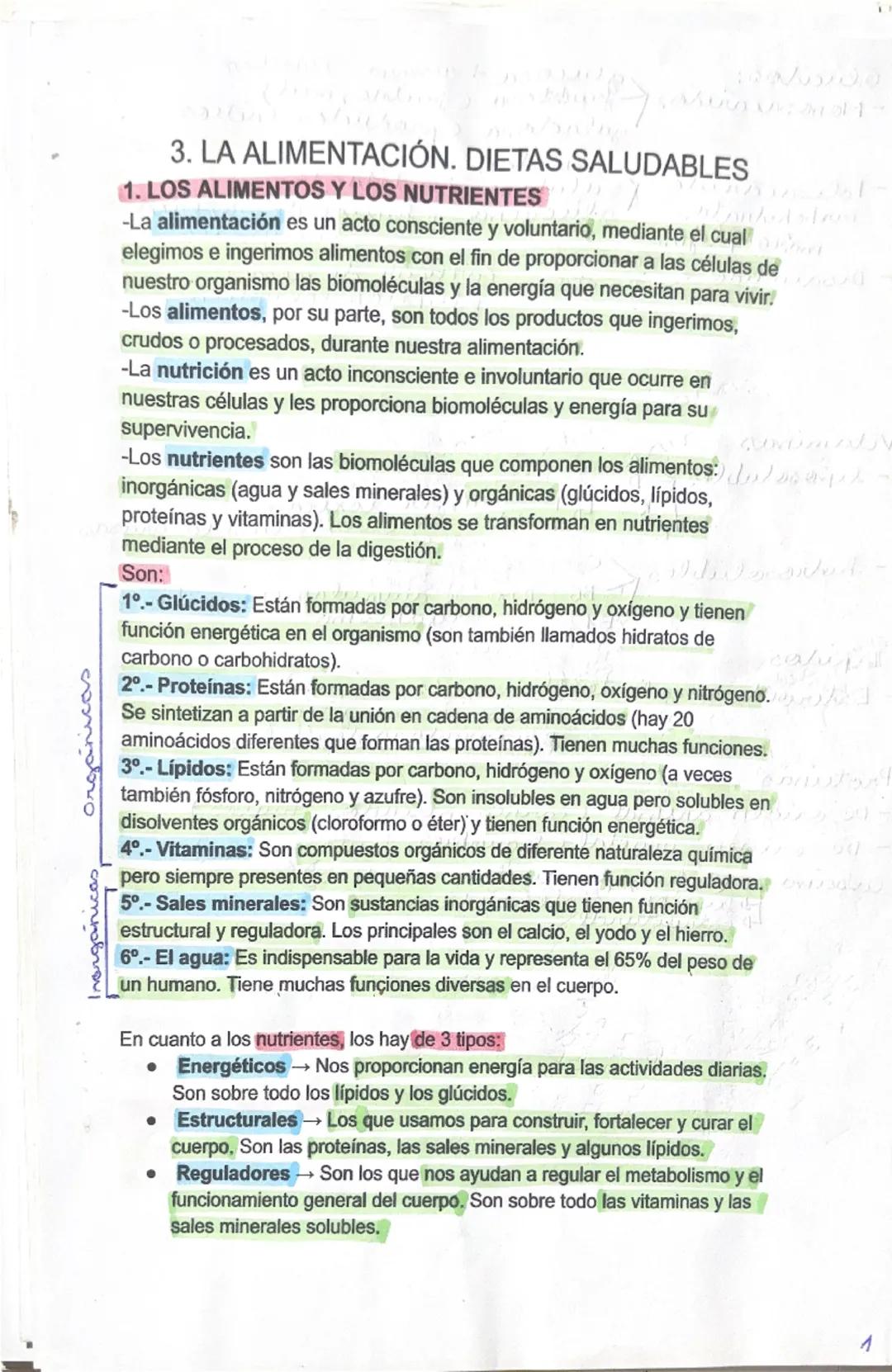 Guía de Alimentación Saludable y Nutrición - Biología 3º ESO