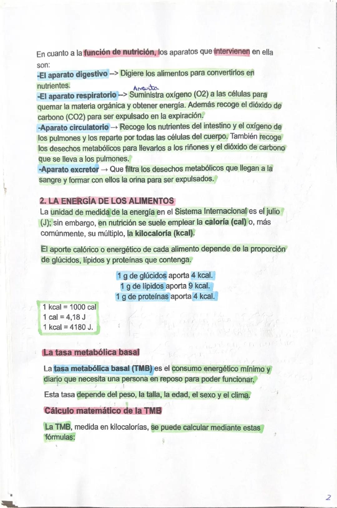 3. LA ALIMENTACIÓN. DIETAS SALUDABLES
1. LOS ALIMENTOS Y LOS NUTRIENTES
-La alimentación es un acto consciente y voluntario, mediante el cua