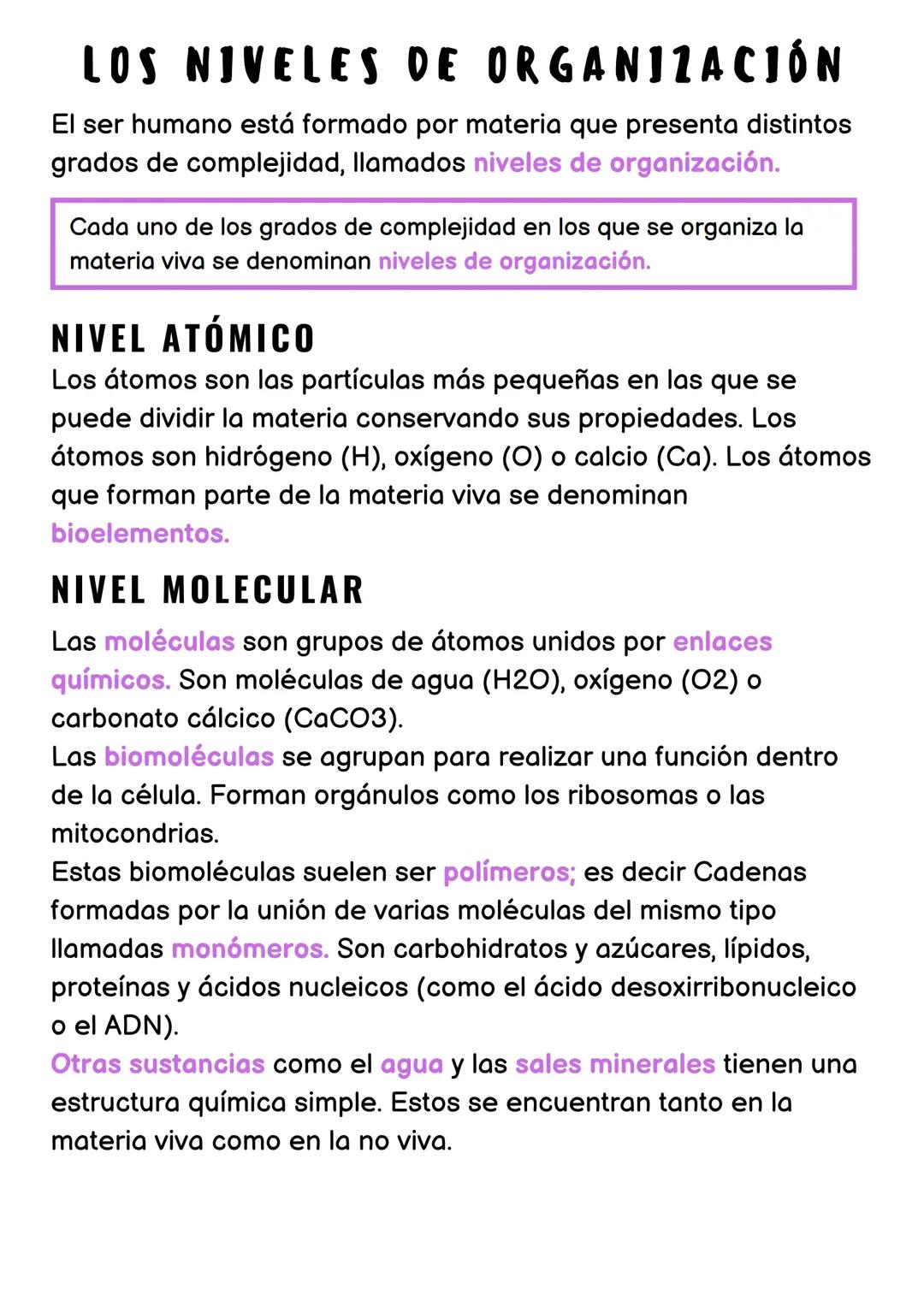 Nivel de organización celular