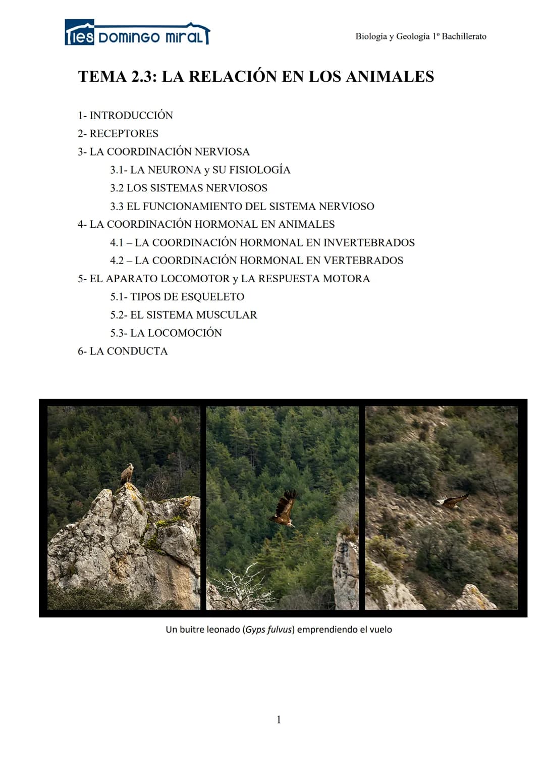Ties DominGO miraL
TEMA 2.3: LA RELACIÓN EN LOS ANIMALES
1- INTRODUCCIÓN
2- RECEPTORES
3- LA COORDINACIÓN NERVIOSA
Biología y Geología 1º Ba