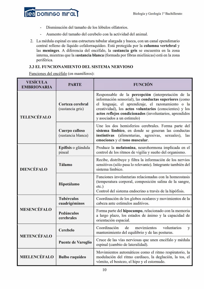 Ties DominGO miraL
TEMA 2.3: LA RELACIÓN EN LOS ANIMALES
1- INTRODUCCIÓN
2- RECEPTORES
3- LA COORDINACIÓN NERVIOSA
Biología y Geología 1º Ba