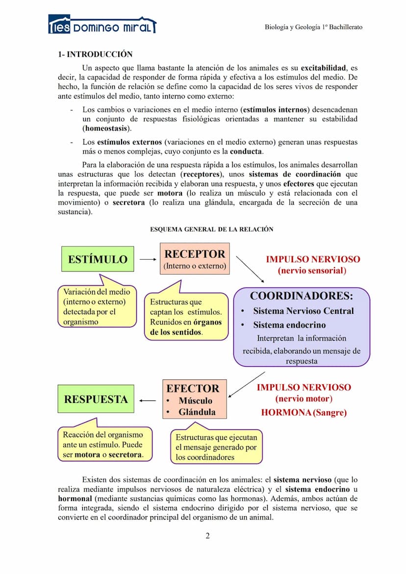 Ties DominGO miraL
TEMA 2.3: LA RELACIÓN EN LOS ANIMALES
1- INTRODUCCIÓN
2- RECEPTORES
3- LA COORDINACIÓN NERVIOSA
Biología y Geología 1º Ba