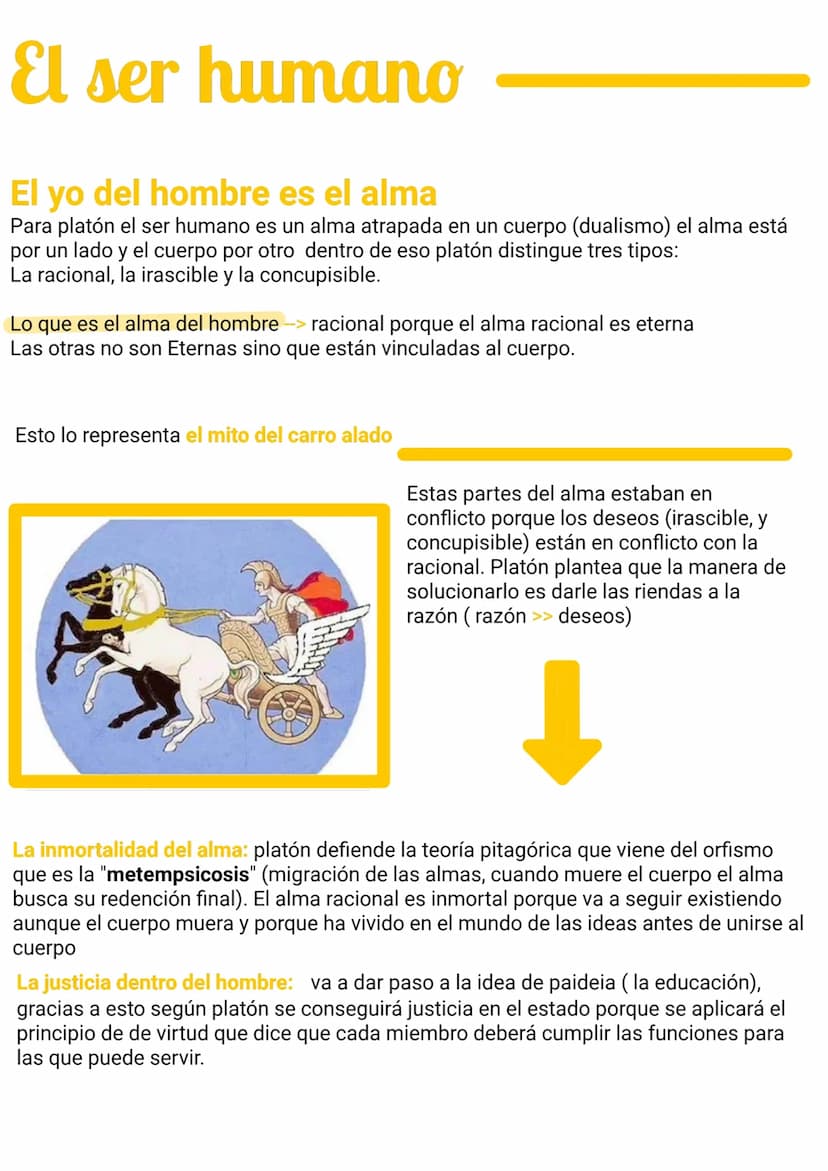 PLATÓN
El problema de la realidad
Fedon y lo descubrimiento de lo supra
se sensible: habla de que no quería
fiarse más de lo que captaban su