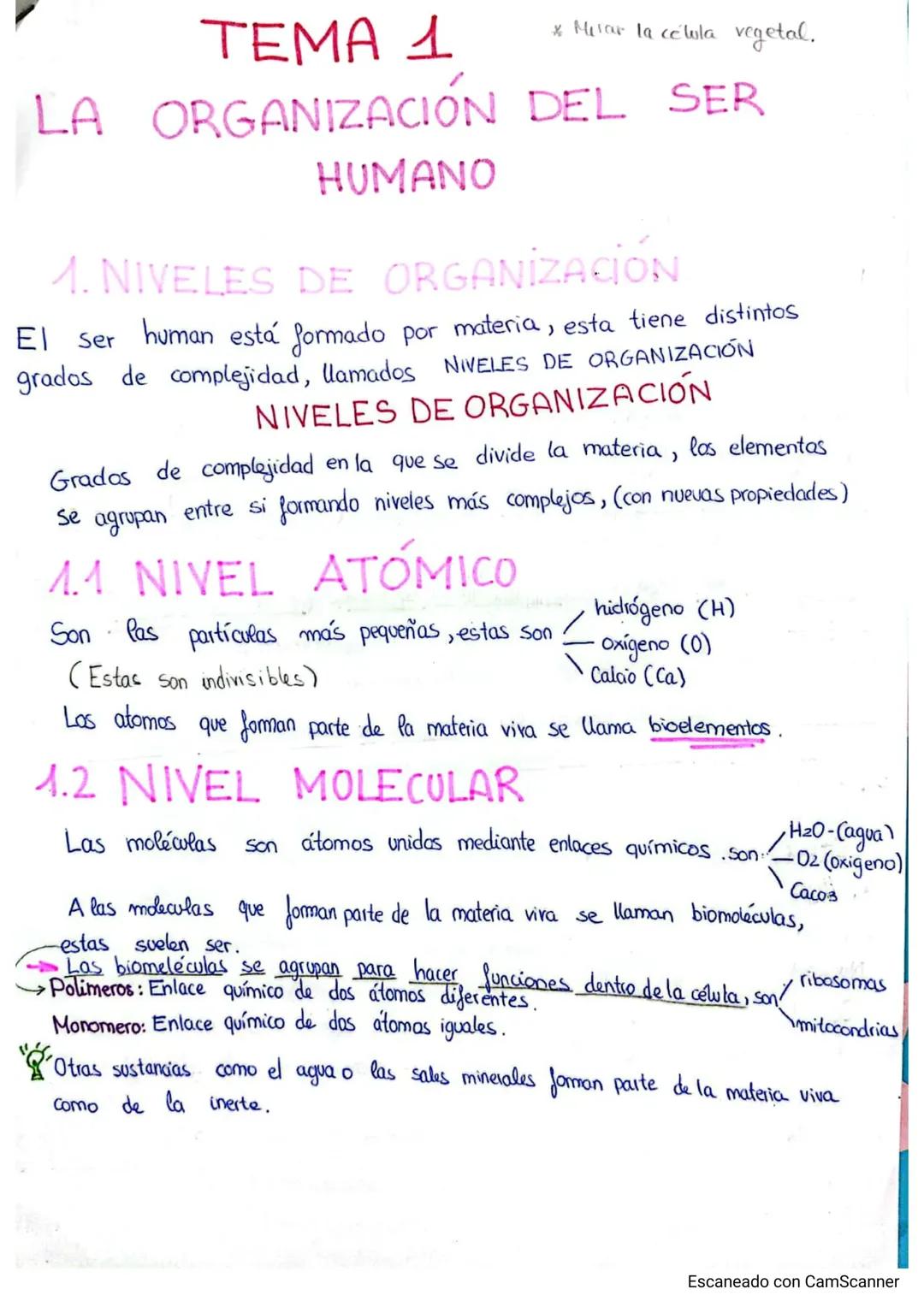 Resumen sobre la Organización del Cuerpo Humano para 3º ESO: Niveles y Biomoléculas