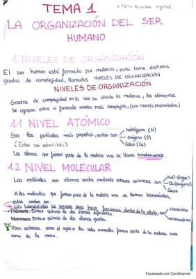 Know Biología Tema 1 La Organización del ser Humano Tema 2 La Vida Sana  thumbnail