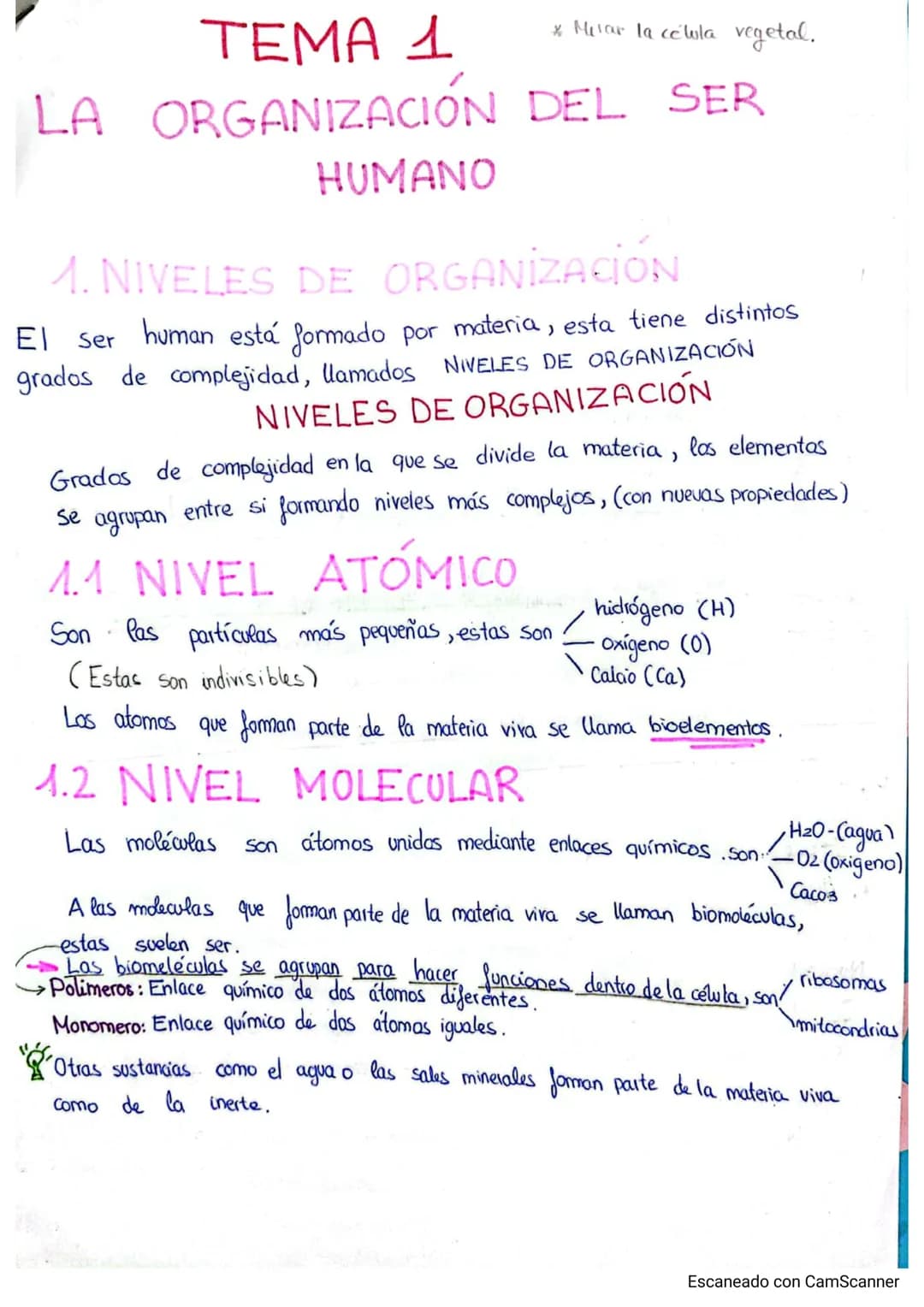 
<p>El cuerpo humano está formado por distintos niveles de organización que le proporcionan complejidad. Estos niveles de organización se di