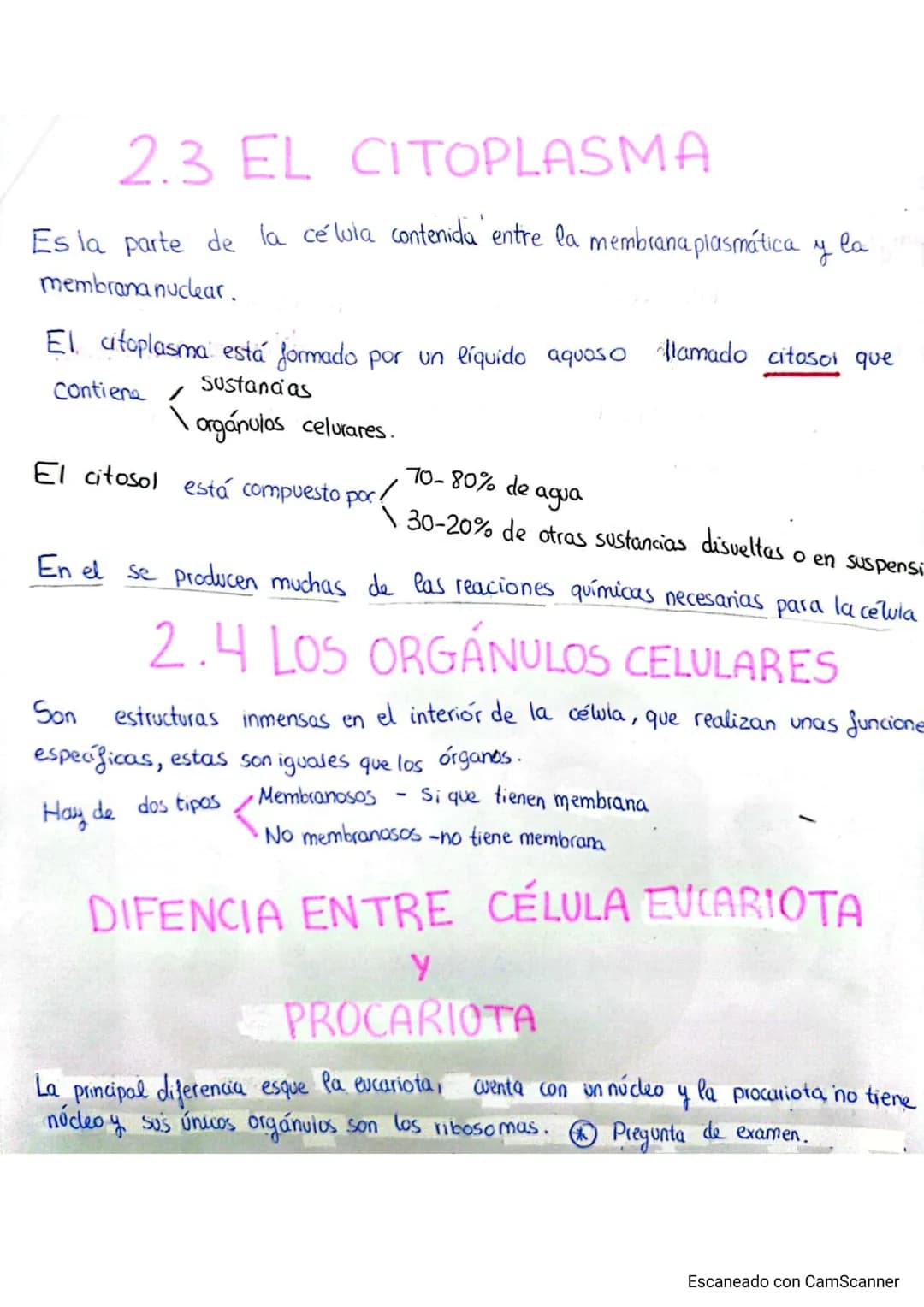 
<p>El cuerpo humano está formado por distintos niveles de organización que le proporcionan complejidad. Estos niveles de organización se di