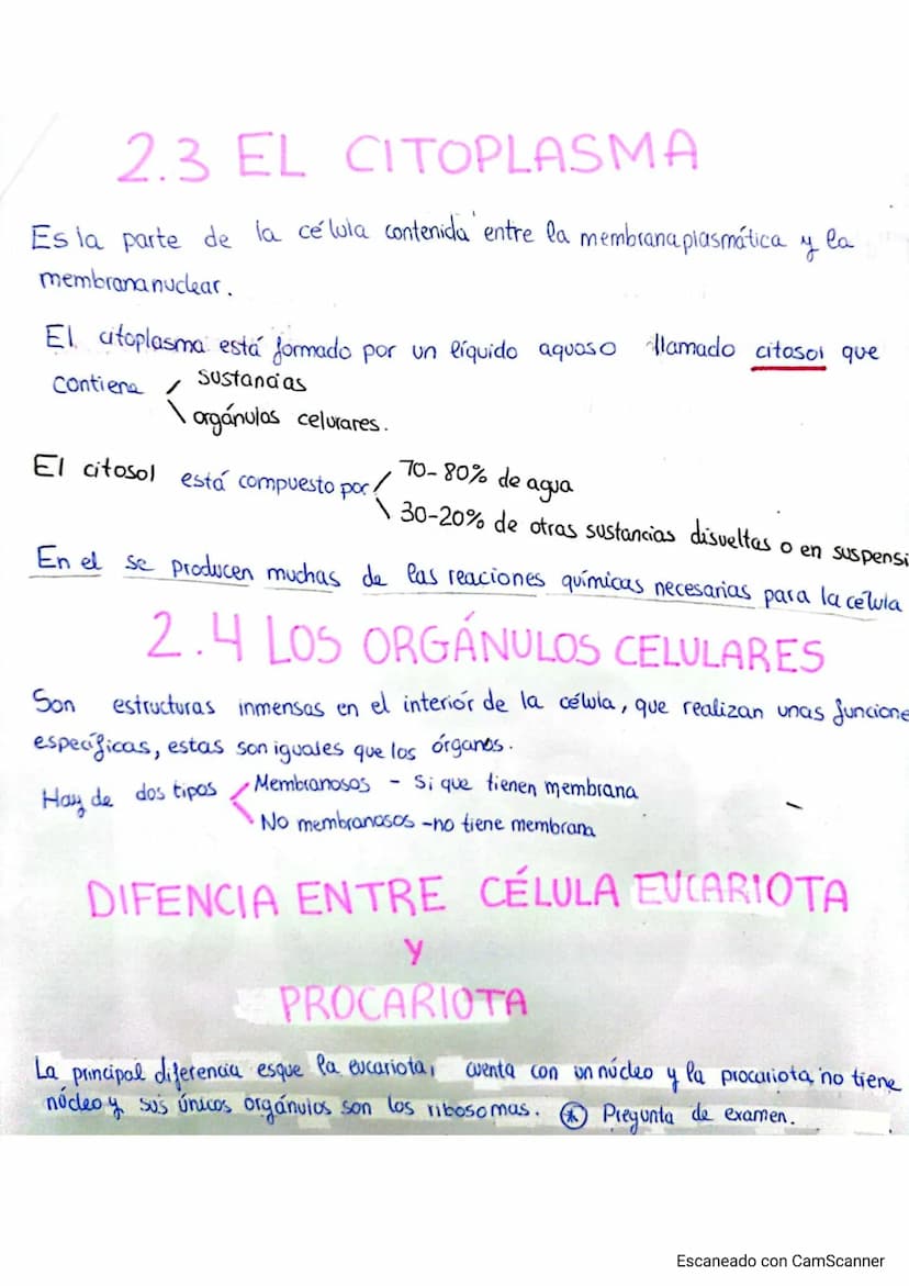 
<p>El cuerpo humano está formado por distintos niveles de organización que le proporcionan complejidad. Estos niveles de organización se di