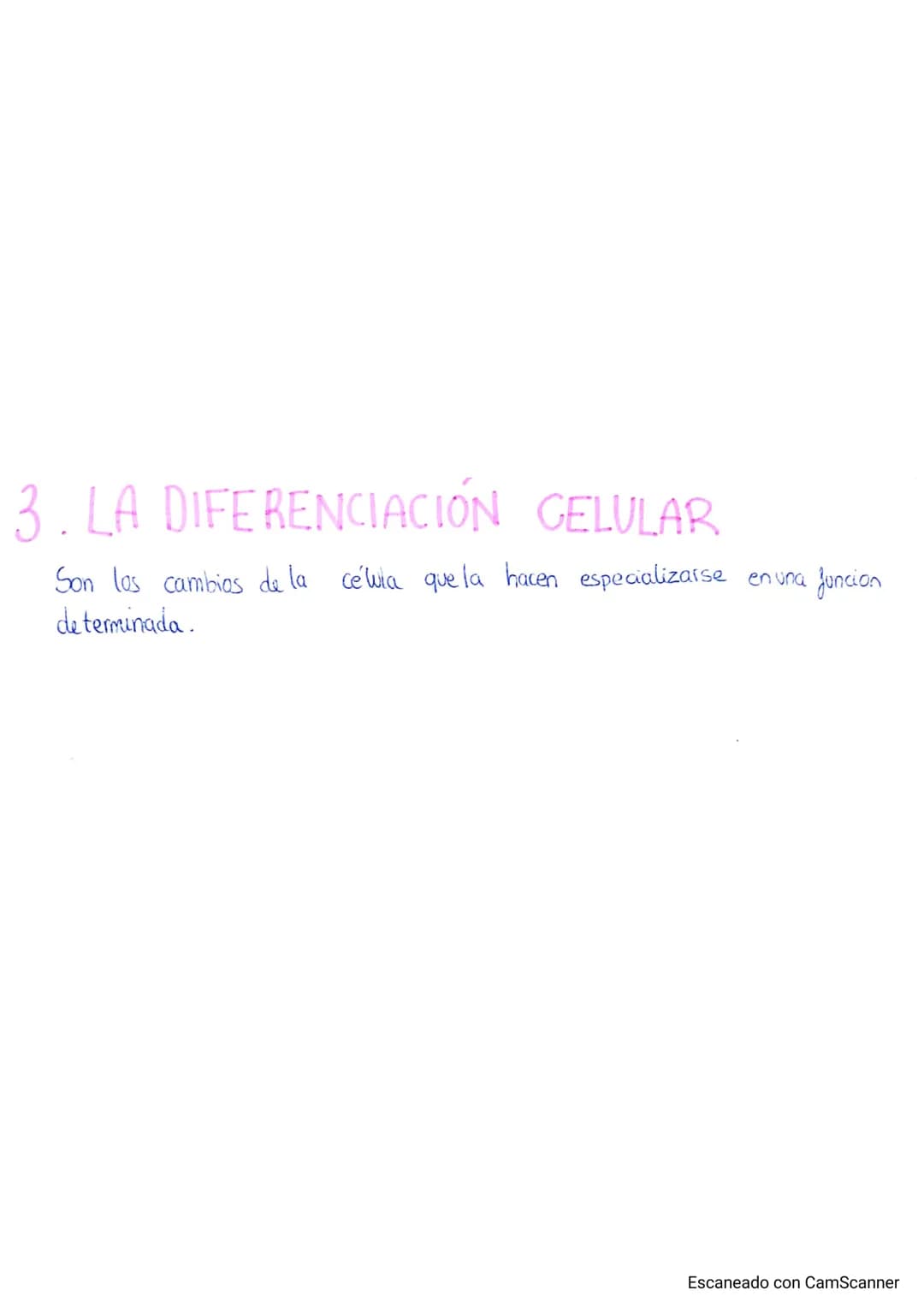 
<p>El cuerpo humano está formado por distintos niveles de organización que le proporcionan complejidad. Estos niveles de organización se di