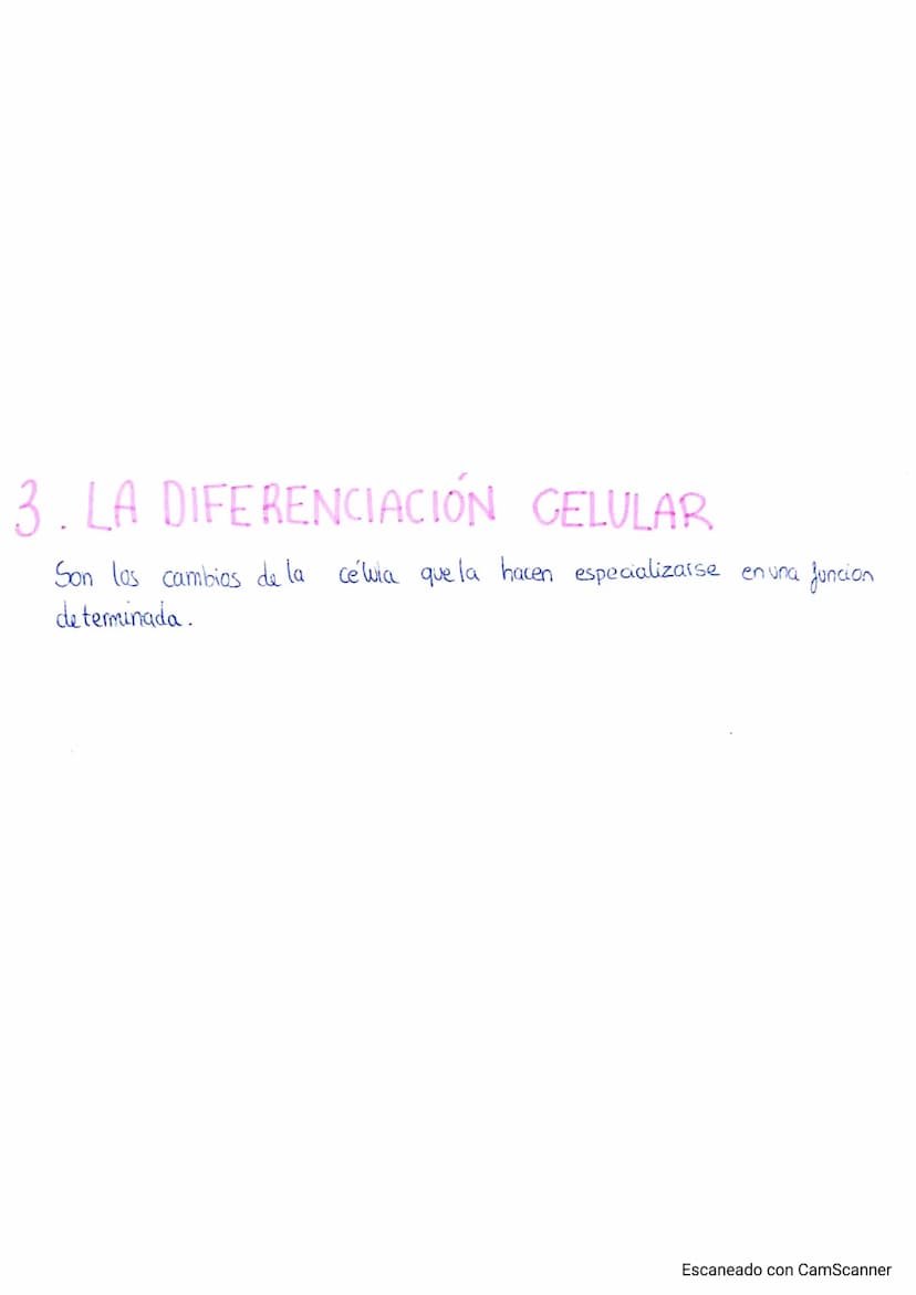 
<p>El cuerpo humano está formado por distintos niveles de organización que le proporcionan complejidad. Estos niveles de organización se di