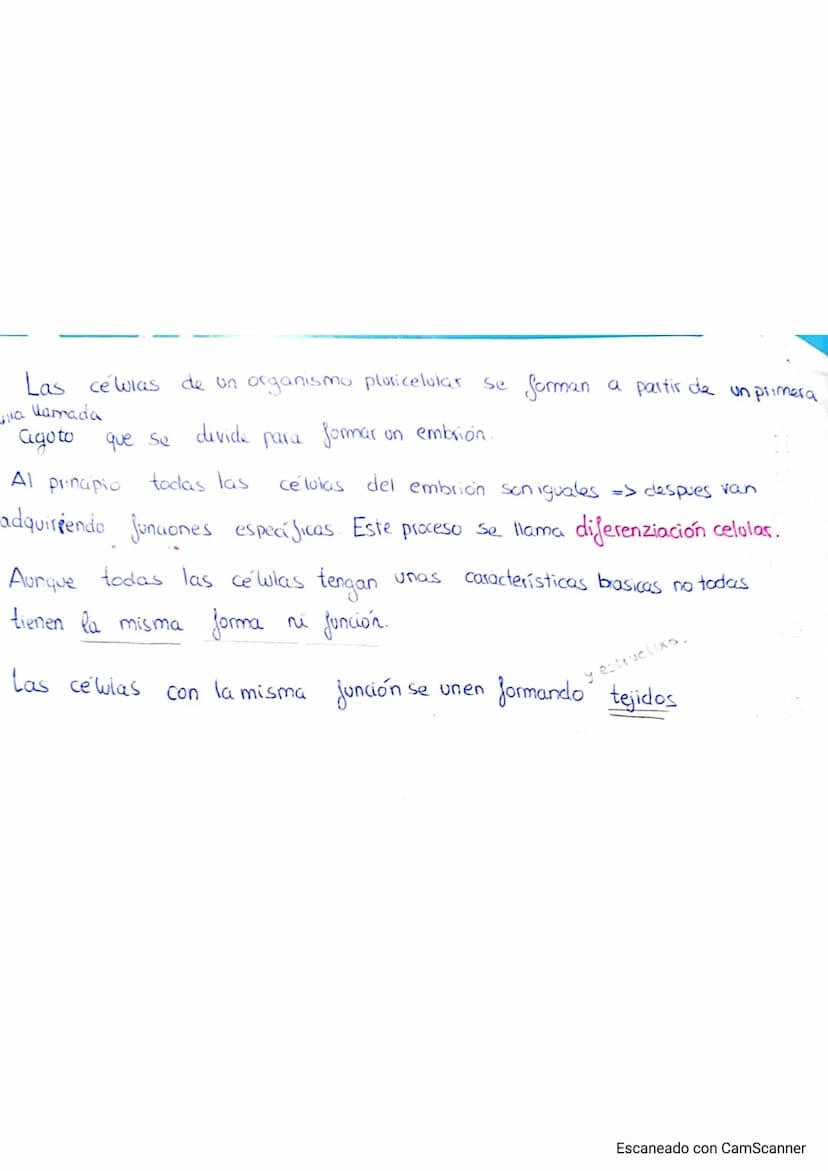 
<p>El cuerpo humano está formado por distintos niveles de organización que le proporcionan complejidad. Estos niveles de organización se di