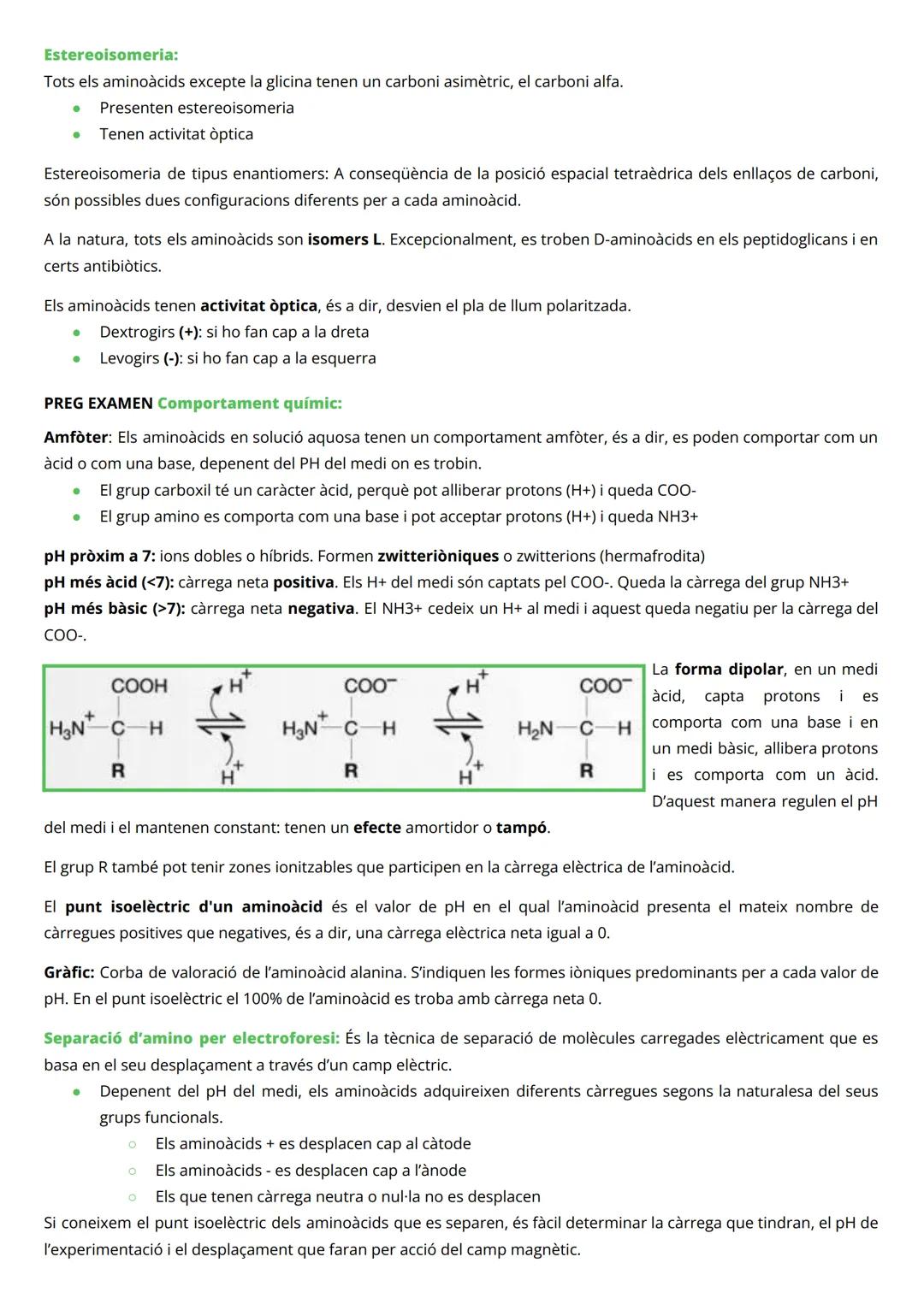 # PROTEÏNES

INTRODUCCIÓ

*   Macromolècules de massa molecular elevada
*   Constituïdes per àtoms de C, H, O i N (P, Fe, Cu, Zn, Se, Mg, i 