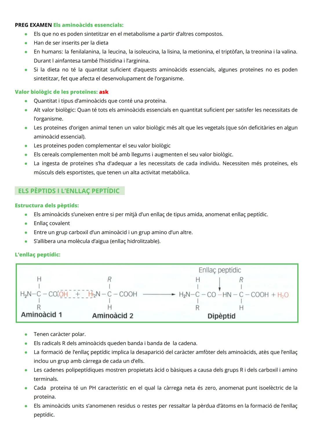 # PROTEÏNES

INTRODUCCIÓ

*   Macromolècules de massa molecular elevada
*   Constituïdes per àtoms de C, H, O i N (P, Fe, Cu, Zn, Se, Mg, i 
