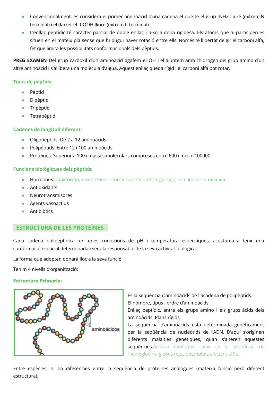 # PROTEÏNES

INTRODUCCIÓ

*   Macromolècules de massa molecular elevada
*   Constituïdes per àtoms de C, H, O i N (P, Fe, Cu, Zn, Se, Mg, i 