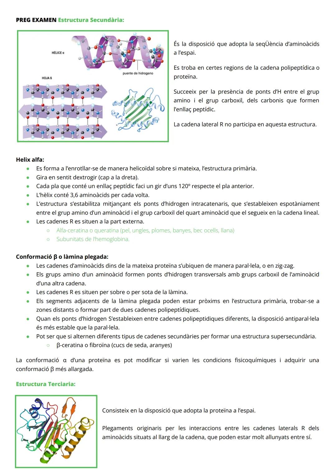 # PROTEÏNES

INTRODUCCIÓ

*   Macromolècules de massa molecular elevada
*   Constituïdes per àtoms de C, H, O i N (P, Fe, Cu, Zn, Se, Mg, i 