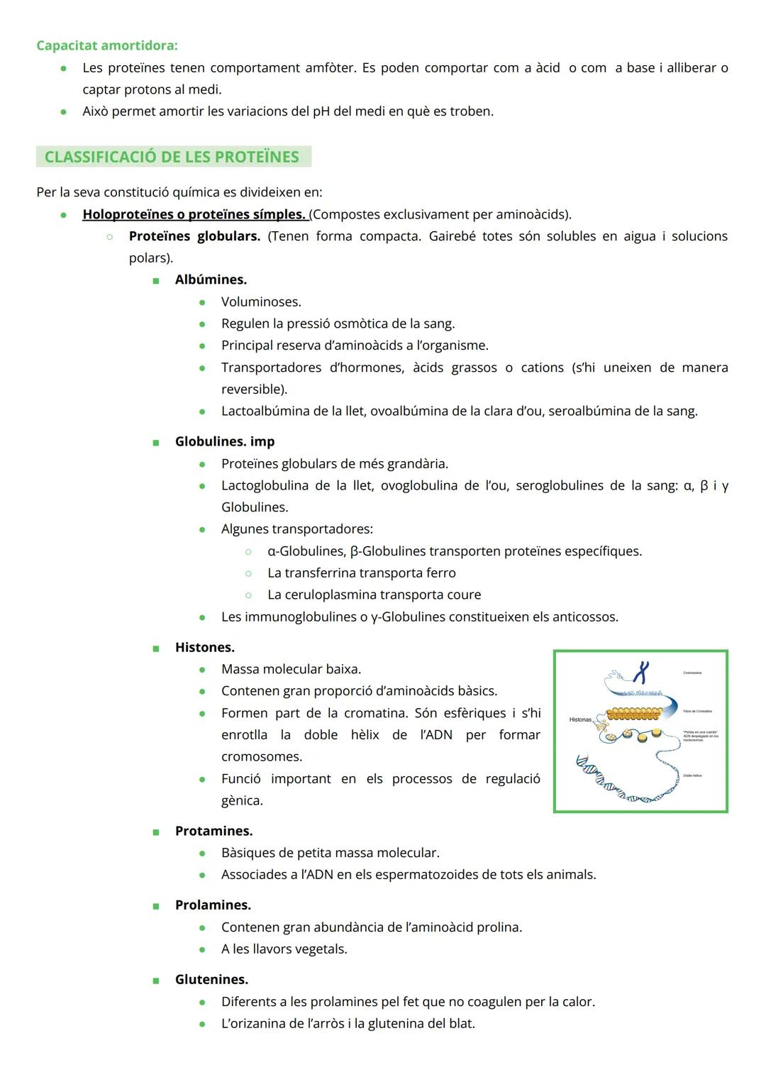 # PROTEÏNES

INTRODUCCIÓ

*   Macromolècules de massa molecular elevada
*   Constituïdes per àtoms de C, H, O i N (P, Fe, Cu, Zn, Se, Mg, i 