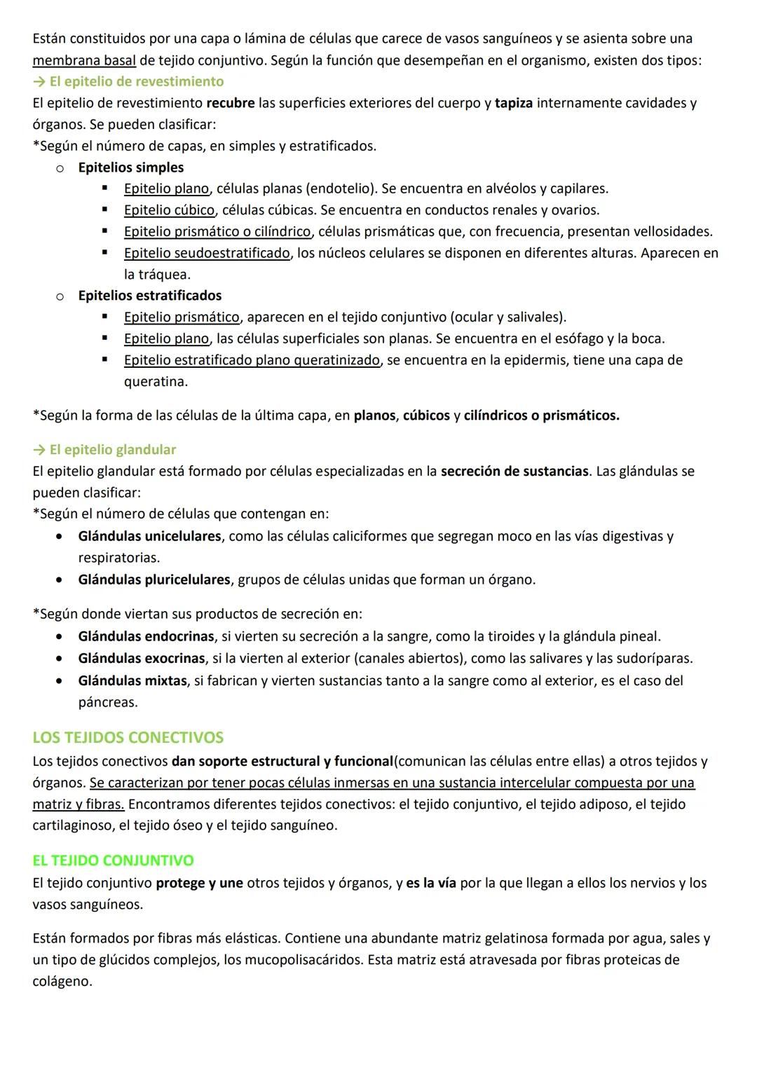 # LA ORGANIZACIÓN PLURICELULAR: LOS TEJIDOS
LA ESPECIALIZACIÓN CELULAR
## CARACTERÍSTICAS DE LOS SERES UNICELULARES
Los organismos unicelula