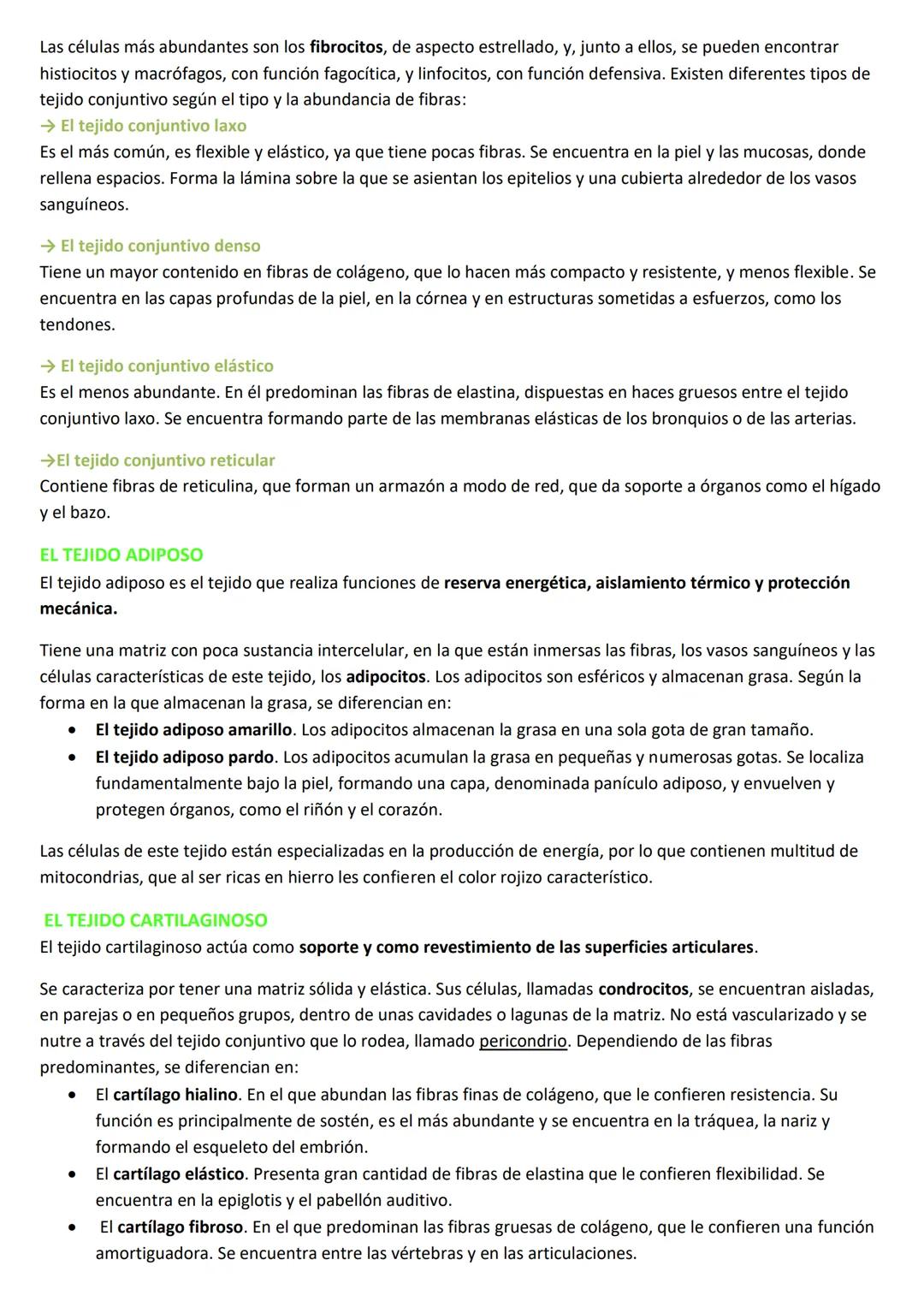 # LA ORGANIZACIÓN PLURICELULAR: LOS TEJIDOS
LA ESPECIALIZACIÓN CELULAR
## CARACTERÍSTICAS DE LOS SERES UNICELULARES
Los organismos unicelula