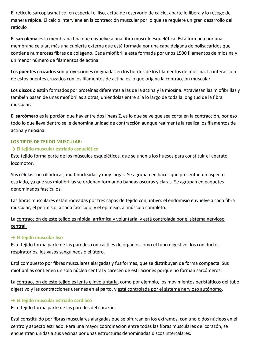 # LA ORGANIZACIÓN PLURICELULAR: LOS TEJIDOS
LA ESPECIALIZACIÓN CELULAR
## CARACTERÍSTICAS DE LOS SERES UNICELULARES
Los organismos unicelula