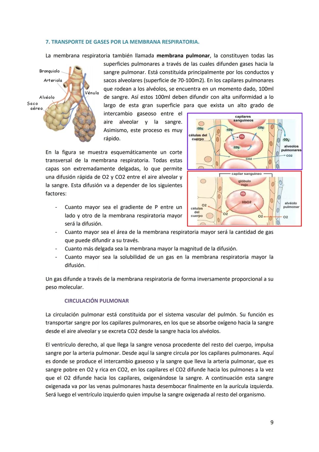 TEMA 14. SISTEMA RESPIRATORIO
1. ANATOMÍA DEL SISTEMA RESPIRATORIO.
Antes de introducirse en anatomía, hay que diferenciar
entre respiración