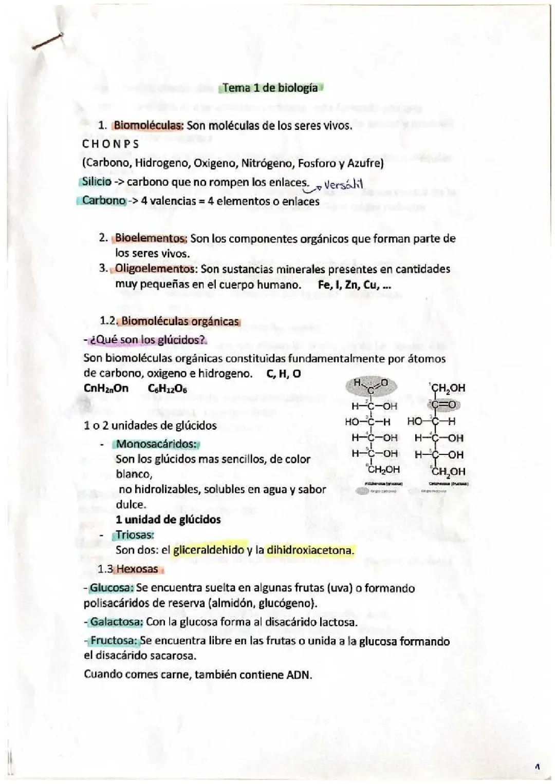 Todo sobre Biomoléculas para 1º de Bachillerato
