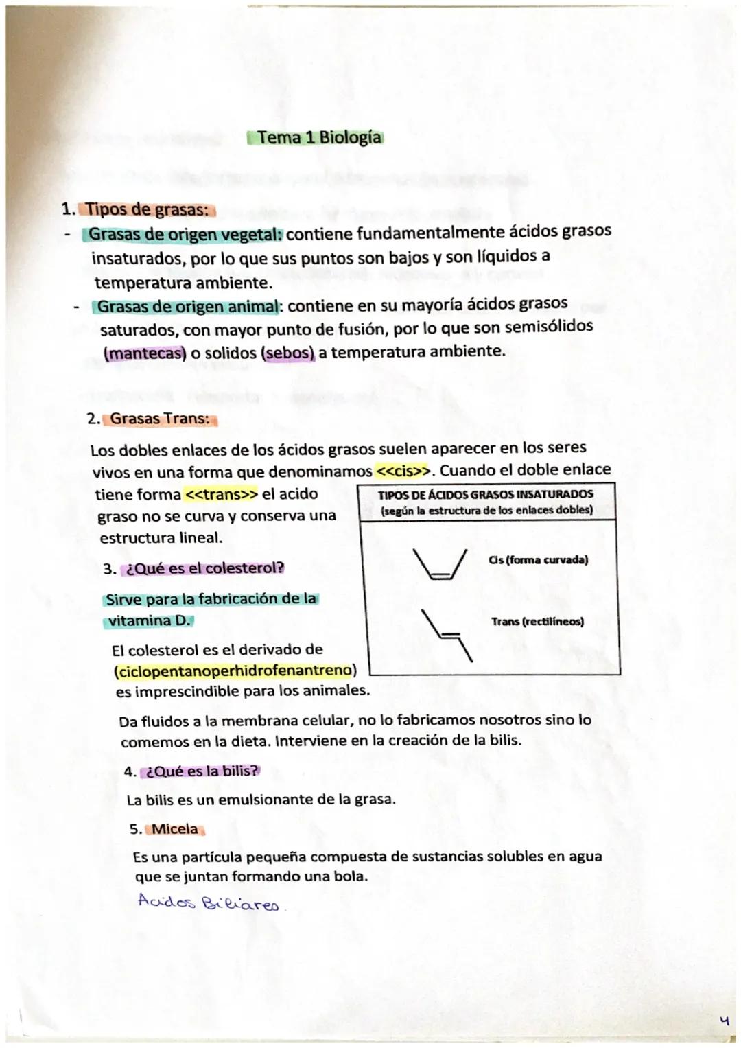 1. Biomoléculas: Son moléculas de los seres vivos.
CHONPS
(Carbono, Hidrogeno, Oxigeno, Nitrógeno, Fosforo y Azufre)
Silicio -> carbono que 