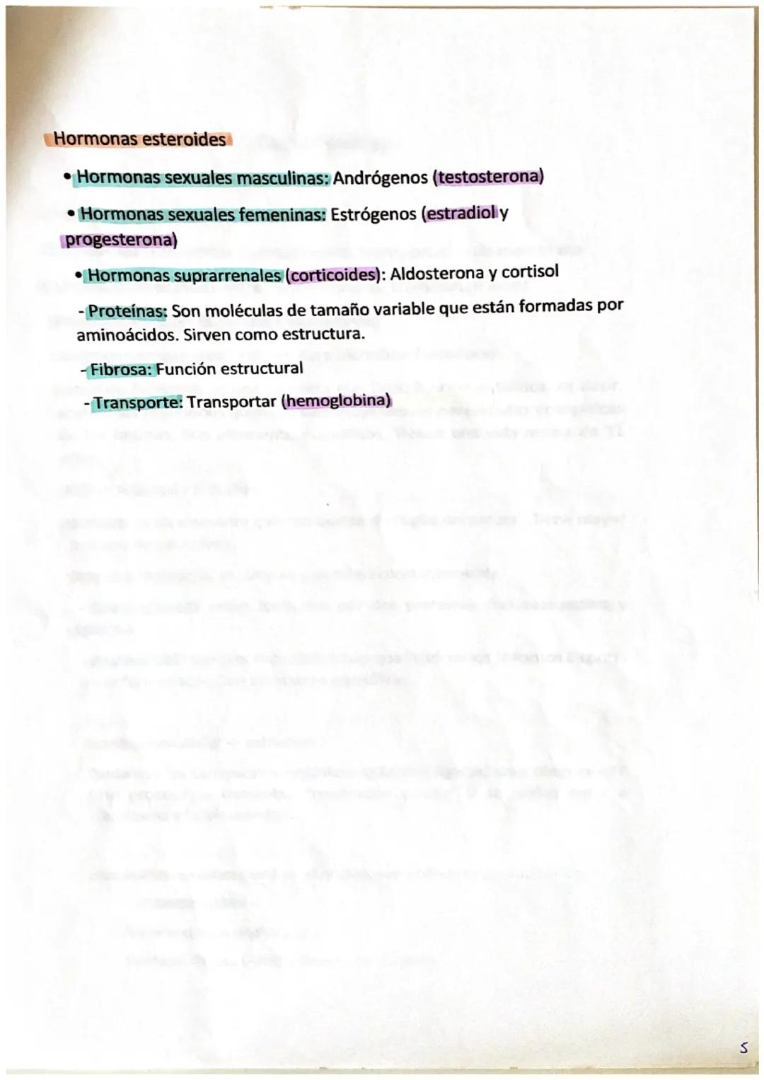 1. Biomoléculas: Son moléculas de los seres vivos.
CHONPS
(Carbono, Hidrogeno, Oxigeno, Nitrógeno, Fosforo y Azufre)
Silicio -> carbono que 