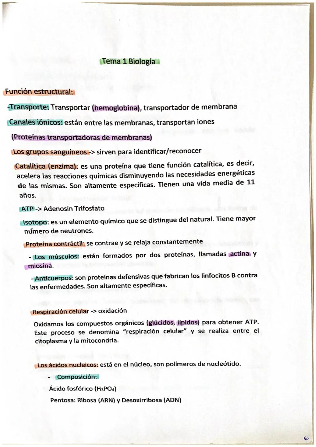1. Biomoléculas: Son moléculas de los seres vivos.
CHONPS
(Carbono, Hidrogeno, Oxigeno, Nitrógeno, Fosforo y Azufre)
Silicio -> carbono que 