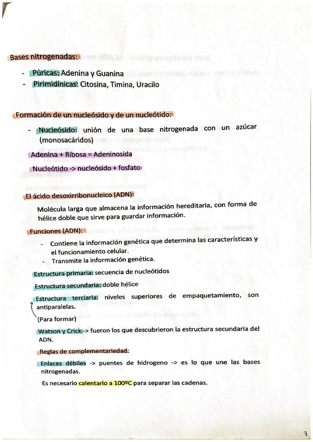 1. Biomoléculas: Son moléculas de los seres vivos.
CHONPS
(Carbono, Hidrogeno, Oxigeno, Nitrógeno, Fosforo y Azufre)
Silicio -> carbono que 