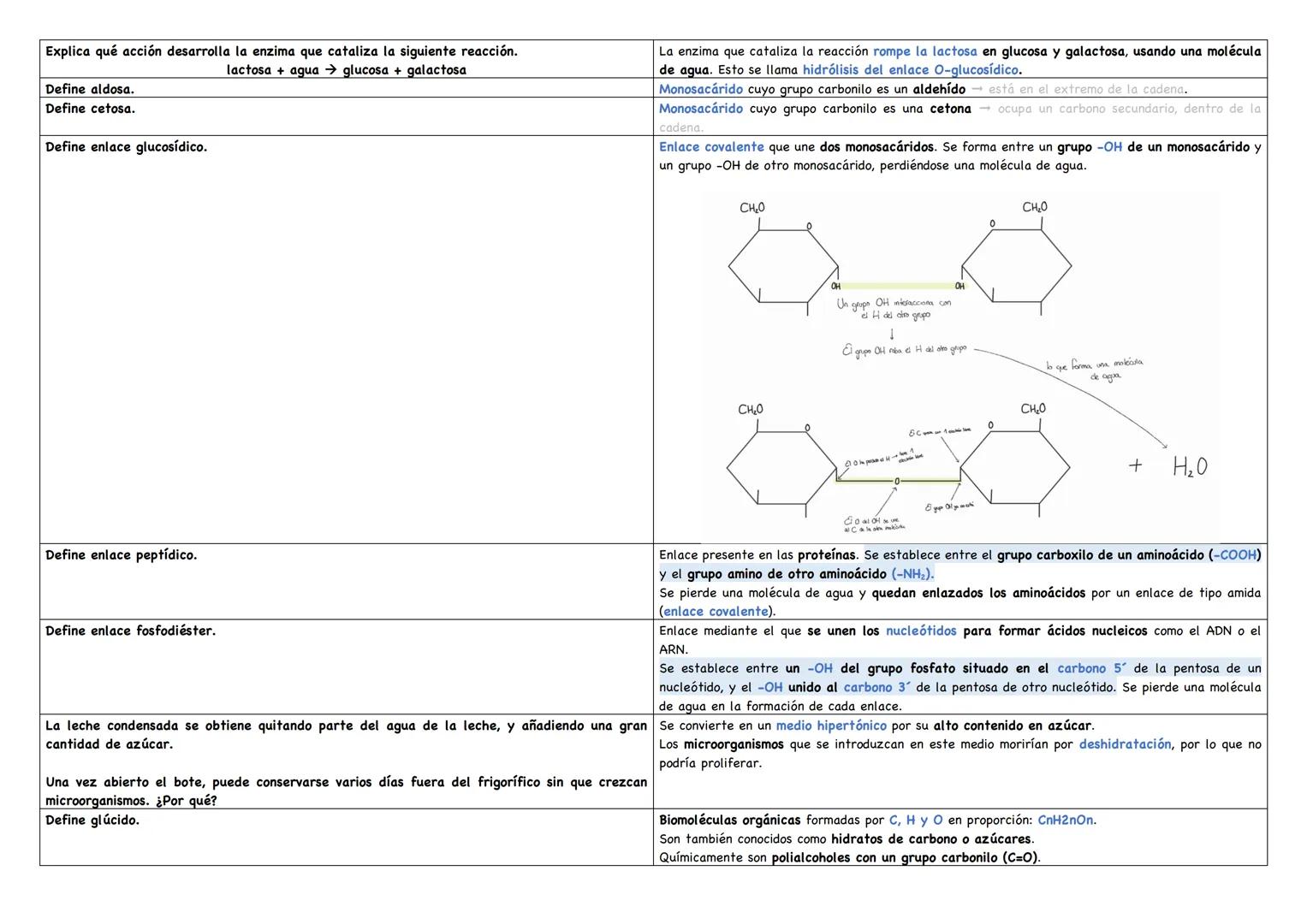 Explica qué acción desarrolla la enzima que cataliza la siguiente reacción.
lactosa + agua glucosa + galactosa
Define aldosa.
Define cetosa.