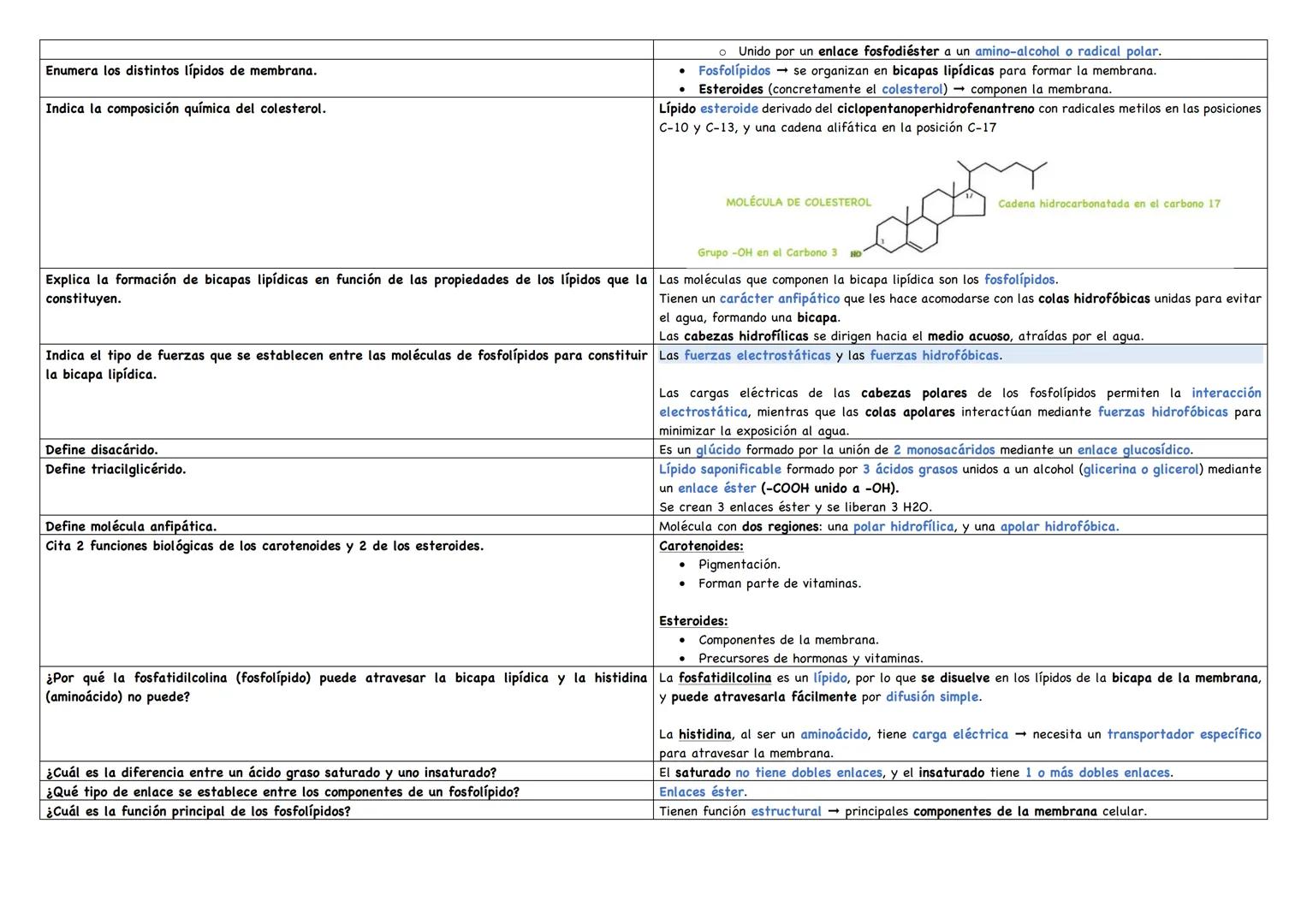 Explica qué acción desarrolla la enzima que cataliza la siguiente reacción.
lactosa + agua glucosa + galactosa
Define aldosa.
Define cetosa.