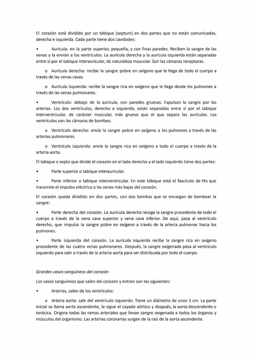 El aparato circulatorio está constituido por:
●
●
●
●
Anatomía del sistema circulatorio
El corazón, que funciona como una bomba aspirante-im
