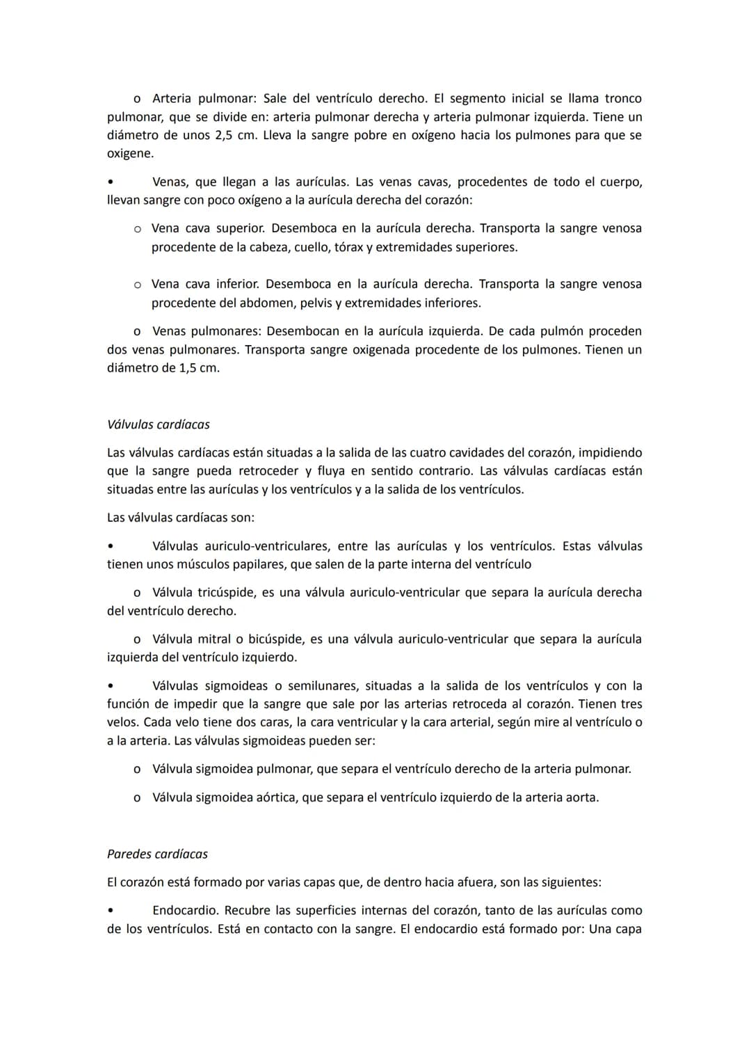 El aparato circulatorio está constituido por:
●
●
●
●
Anatomía del sistema circulatorio
El corazón, que funciona como una bomba aspirante-im