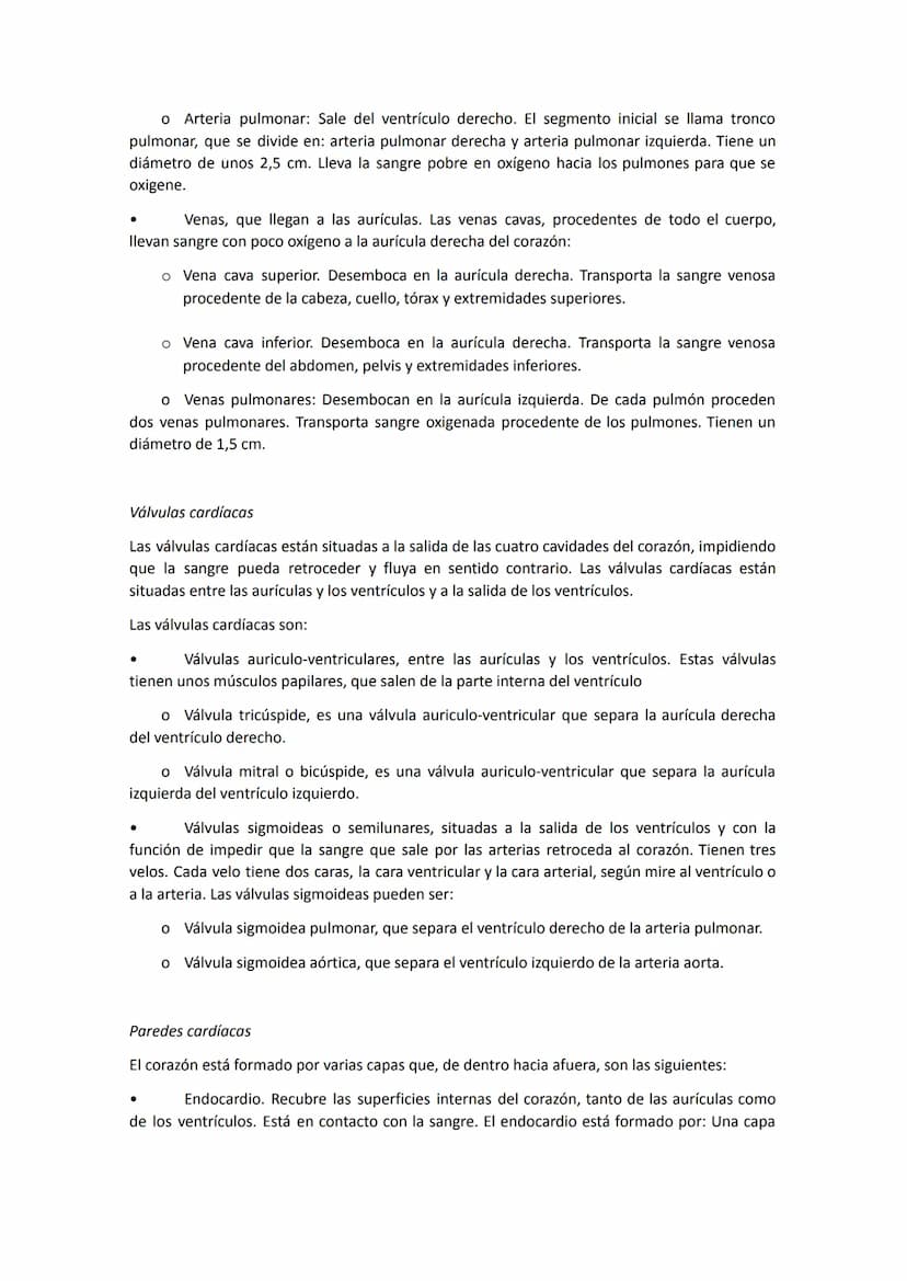 El aparato circulatorio está constituido por:
●
●
●
●
Anatomía del sistema circulatorio
El corazón, que funciona como una bomba aspirante-im
