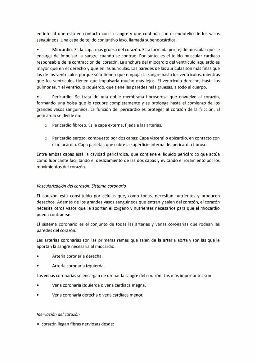 El aparato circulatorio está constituido por:
●
●
●
●
Anatomía del sistema circulatorio
El corazón, que funciona como una bomba aspirante-im