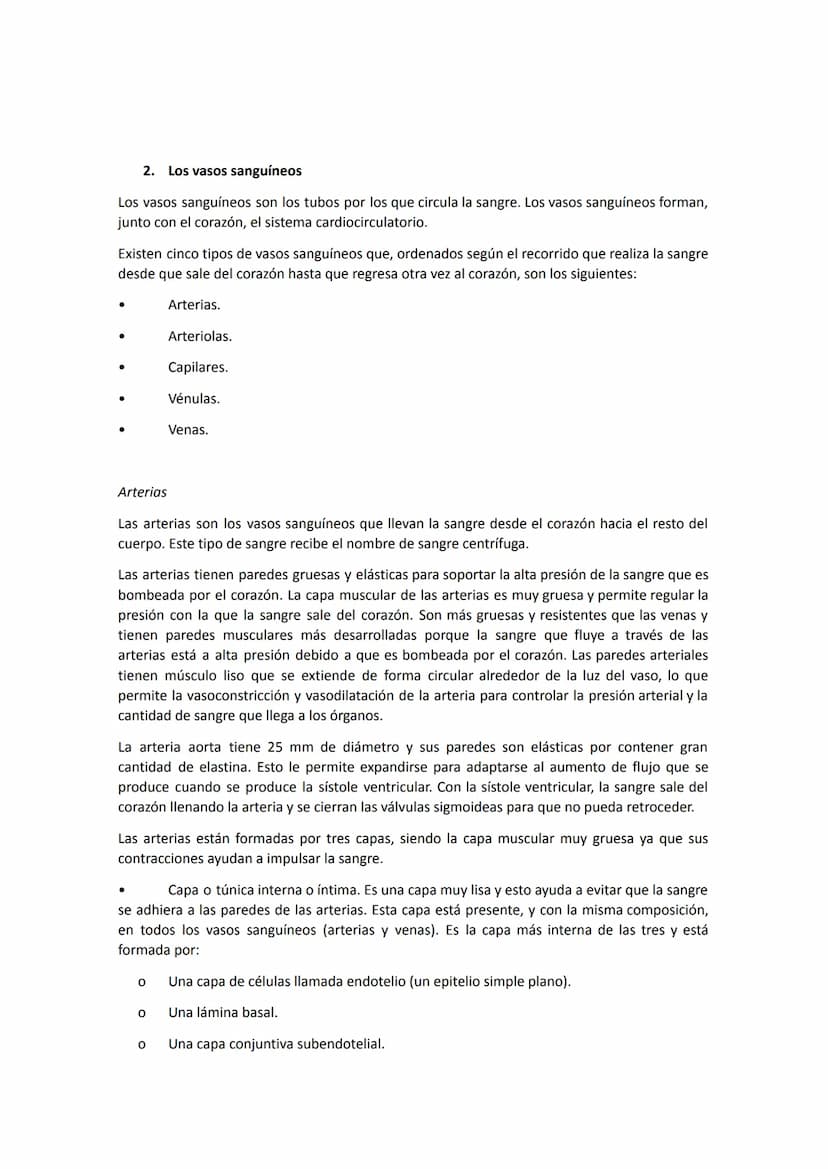 El aparato circulatorio está constituido por:
●
●
●
●
Anatomía del sistema circulatorio
El corazón, que funciona como una bomba aspirante-im