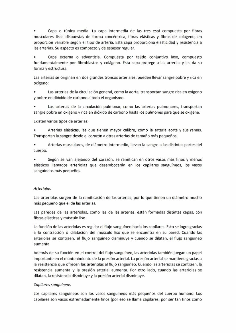 El aparato circulatorio está constituido por:
●
●
●
●
Anatomía del sistema circulatorio
El corazón, que funciona como una bomba aspirante-im