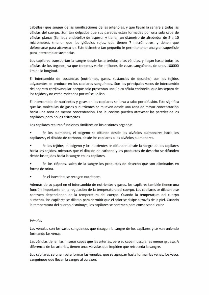 El aparato circulatorio está constituido por:
●
●
●
●
Anatomía del sistema circulatorio
El corazón, que funciona como una bomba aspirante-im