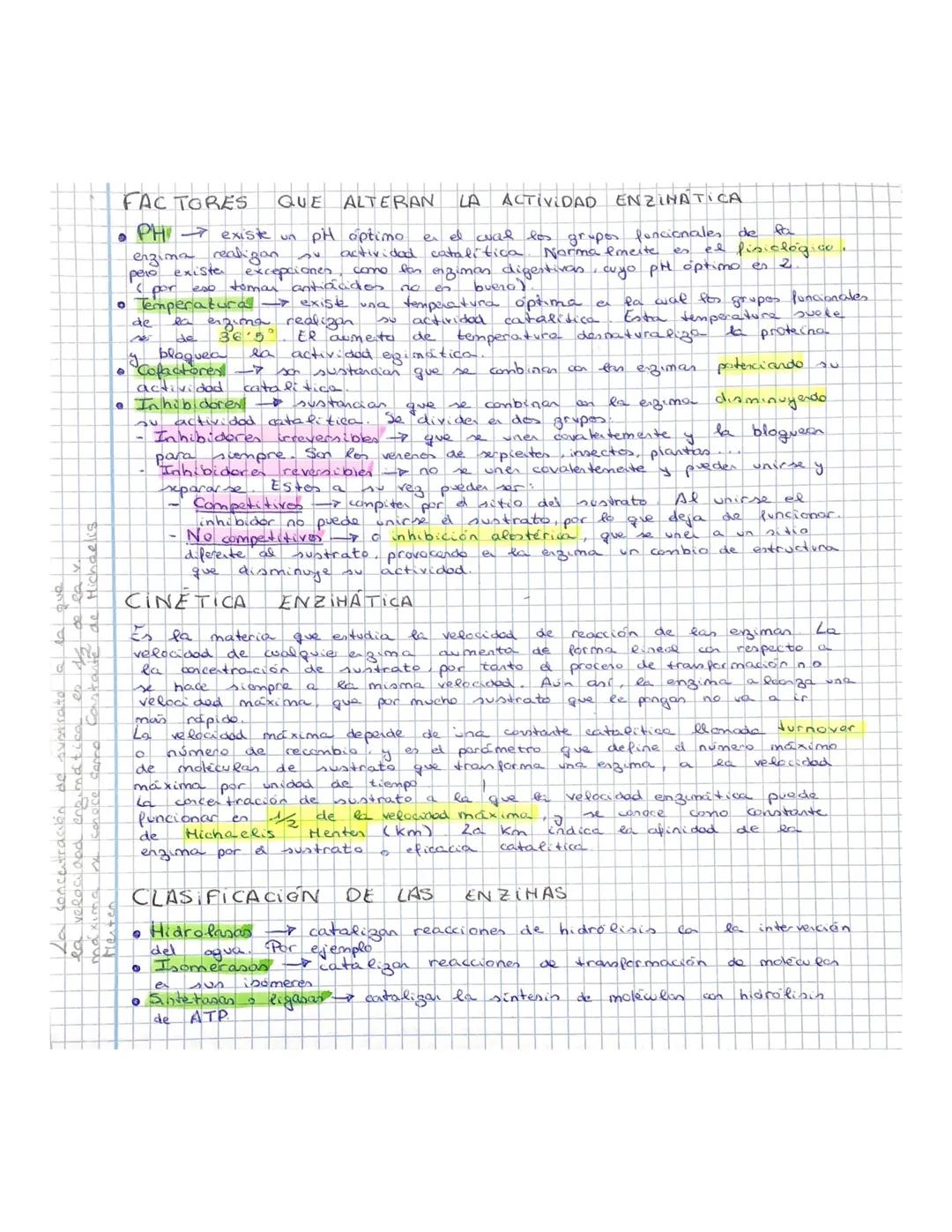 ENZIMAS
Son
son las proteinas.
ees
beres vivos.
todas proteinas globulares
ma's valadan y especializados
de la naturaleza. Catalizan eas rea