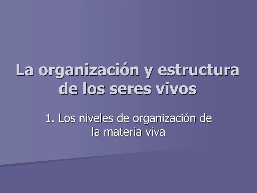 Niveles de organización
