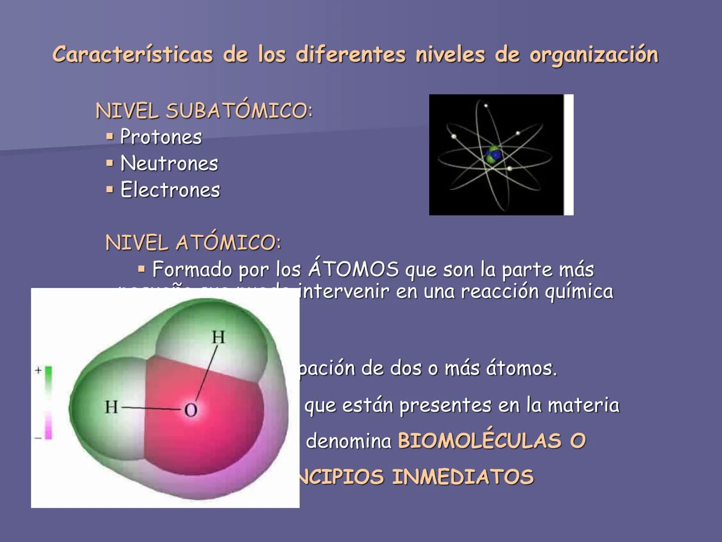 La organización y estructura
de los seres vivos
1. Los niveles de organización de
la materia viva ■ La materia se encuentra organizada en di