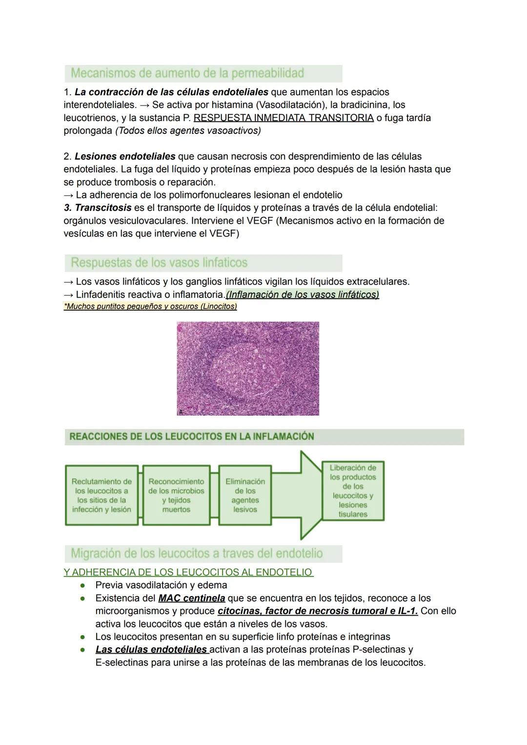 INFLAMACIÓN AGUDA Y CRÓNICA (I) Y (II). TEMA 2
INTRODUCCIÓN A LA INFLAMACIÓN
→ La inflamación es la respuesta del anfitrión destinada a elim