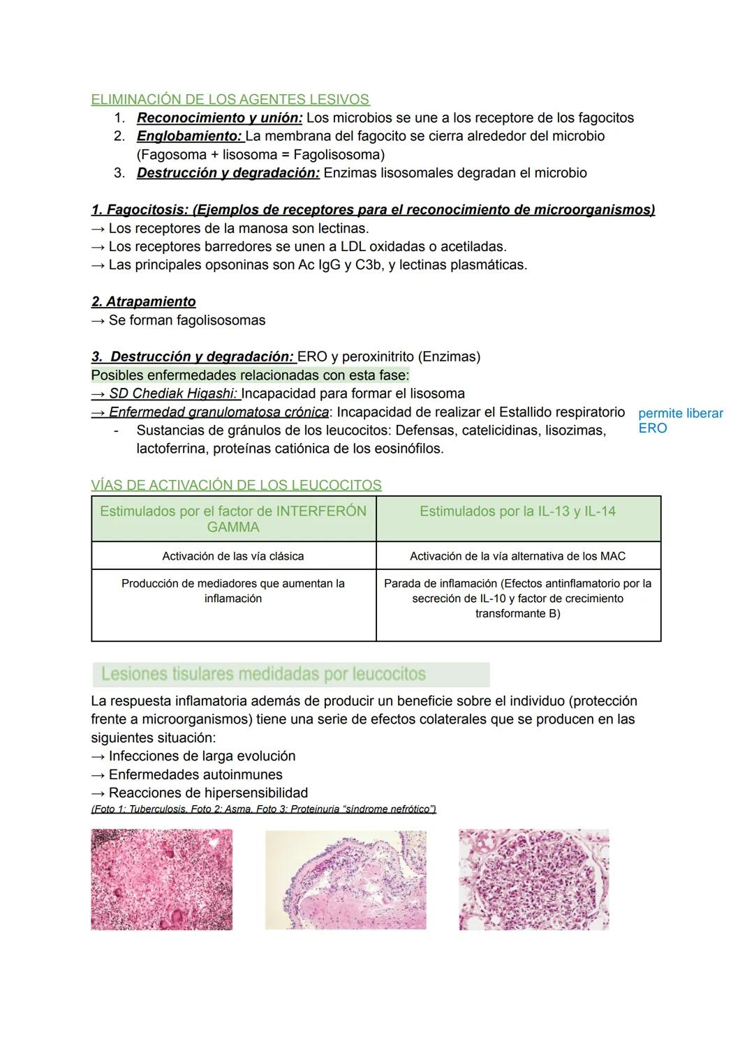 INFLAMACIÓN AGUDA Y CRÓNICA (I) Y (II). TEMA 2
INTRODUCCIÓN A LA INFLAMACIÓN
→ La inflamación es la respuesta del anfitrión destinada a elim
