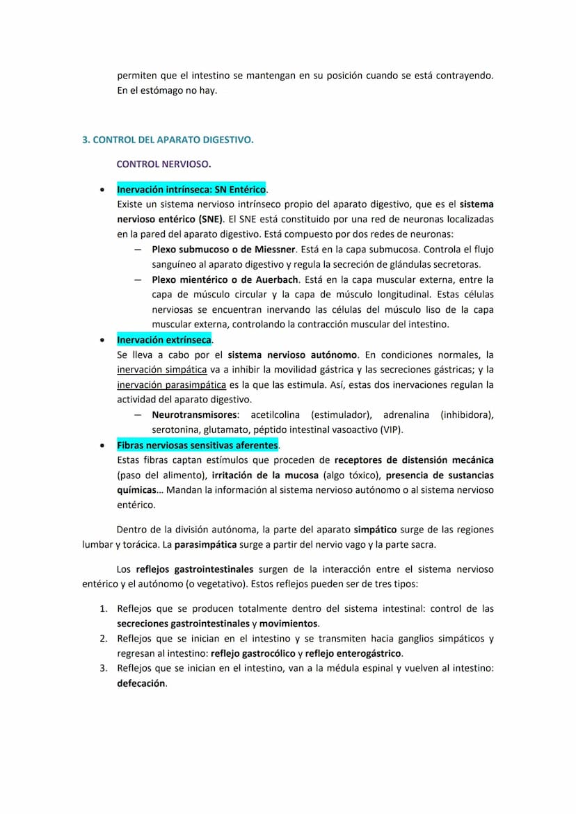 1. COMPONENTES Y FUNCIONES DEL APARATO DIGESTIVO.
●
Boca.
Faringe (compartida con el aparato respiratorio).
Esófago.
● Estómago.
●
TEMA 19. 
