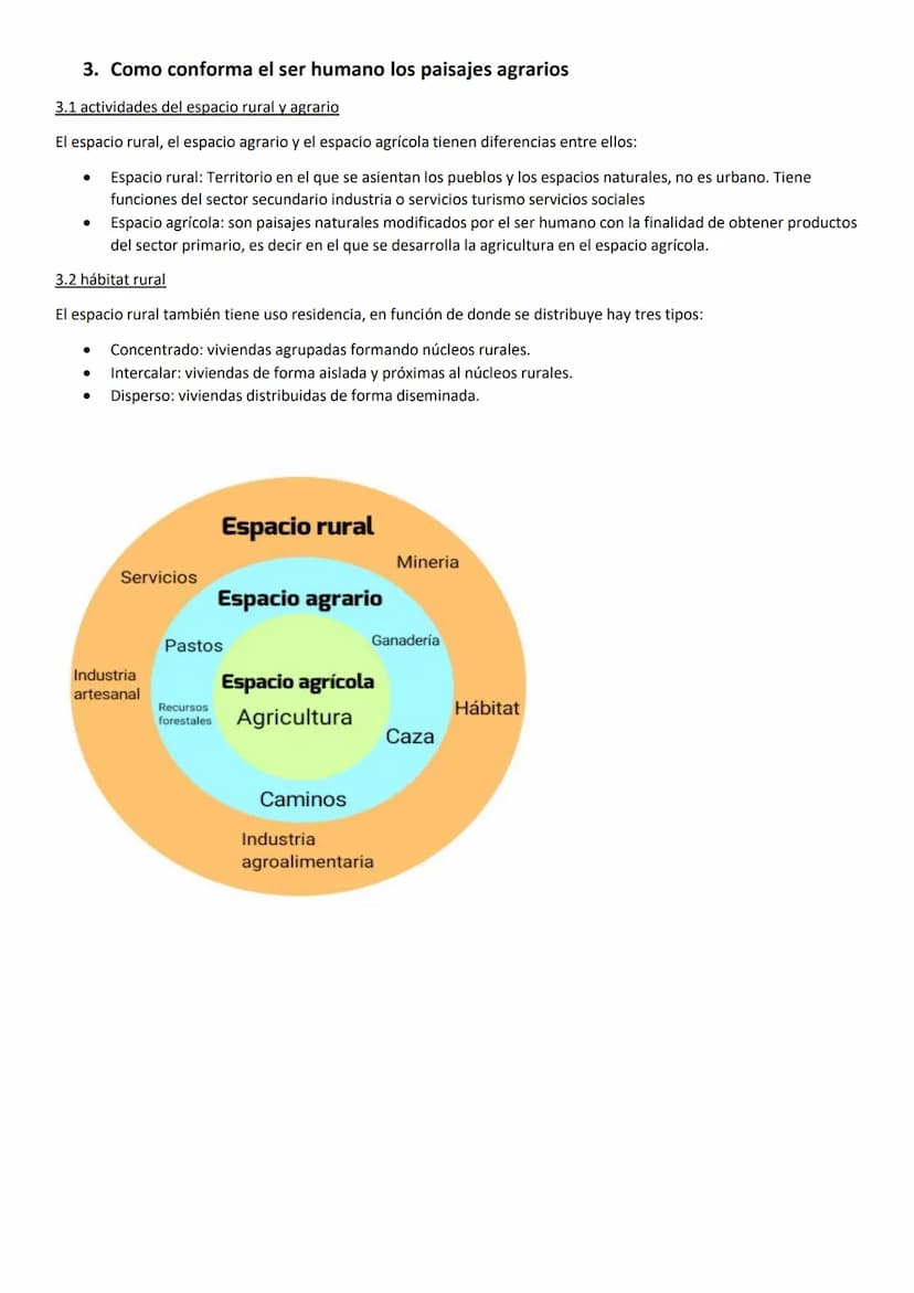 TEMA 2: MUNDO MIGRANTE
1. Movimientos migratorios
1.1 movimientos migratorios
Los movimientos migratorios son desplazamientos de personas de