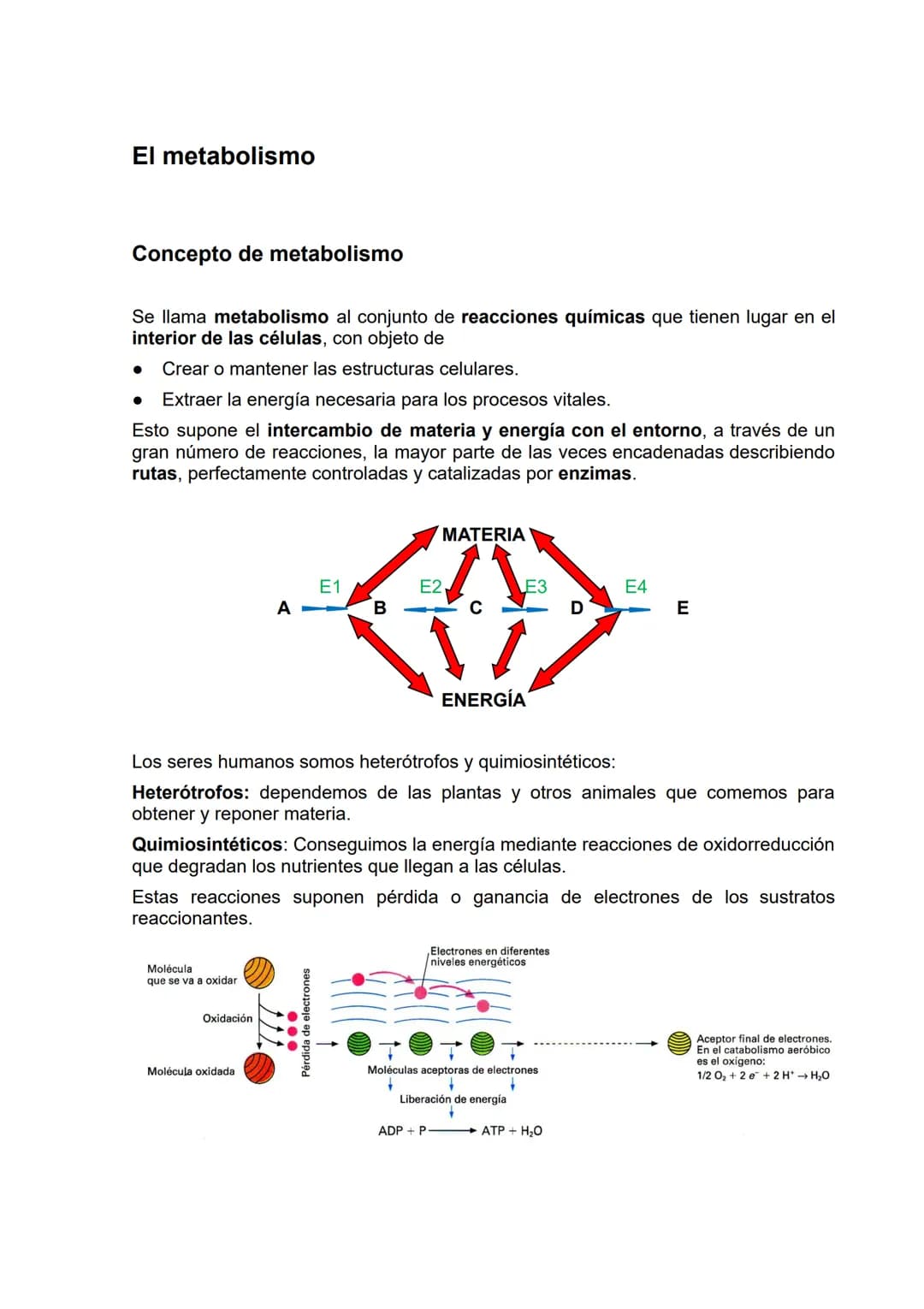 El metabolismo
Concepto de metabolismo
Se llama metabolismo al conjunto de reacciones químicas que tienen lugar en el
interior de las célula