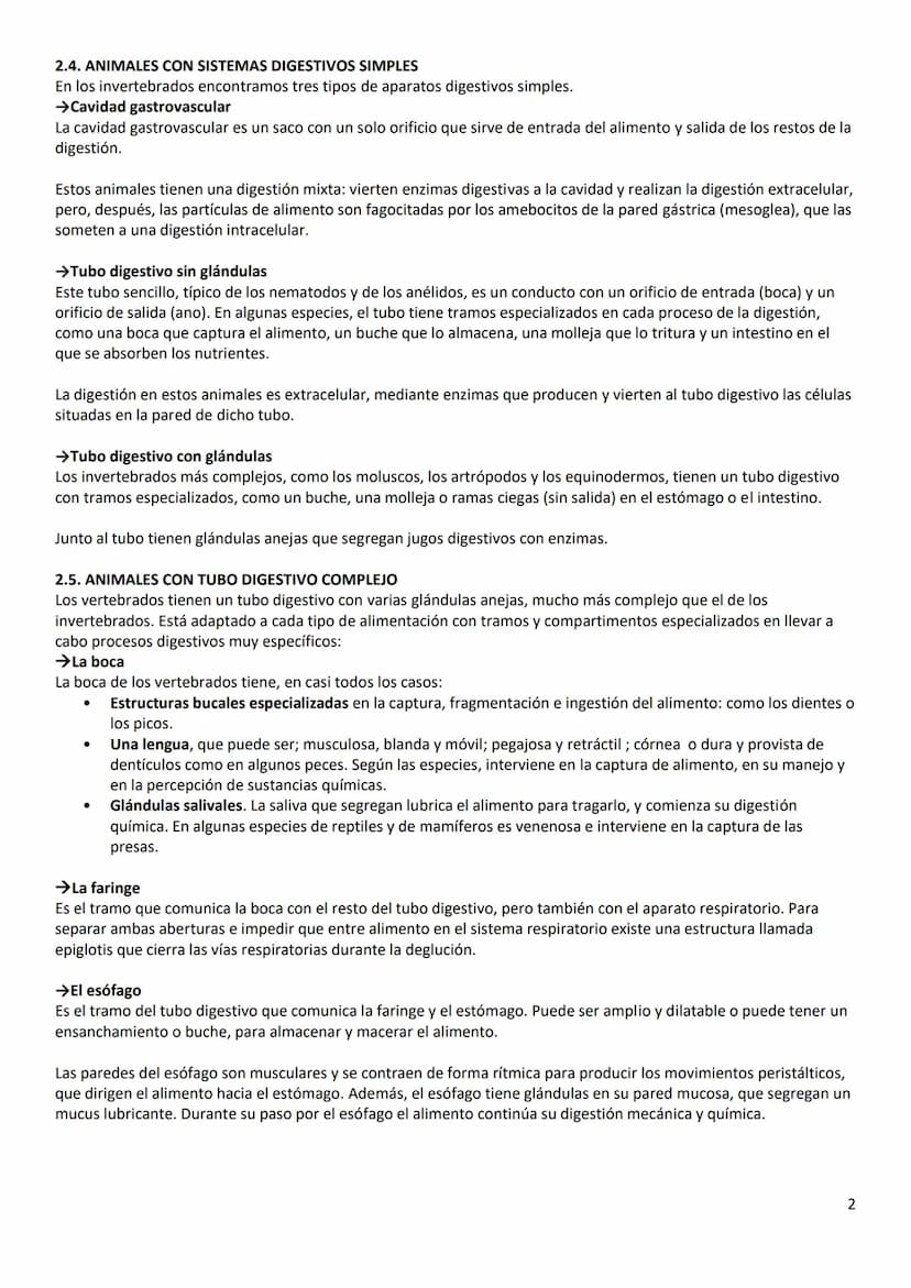 2. LA OBTENCIÓN DE NUTRIENTES ORGANICOS
Los procesos que deben llevar a cabo los animales para obtener nutrientes orgánicos son la captura e